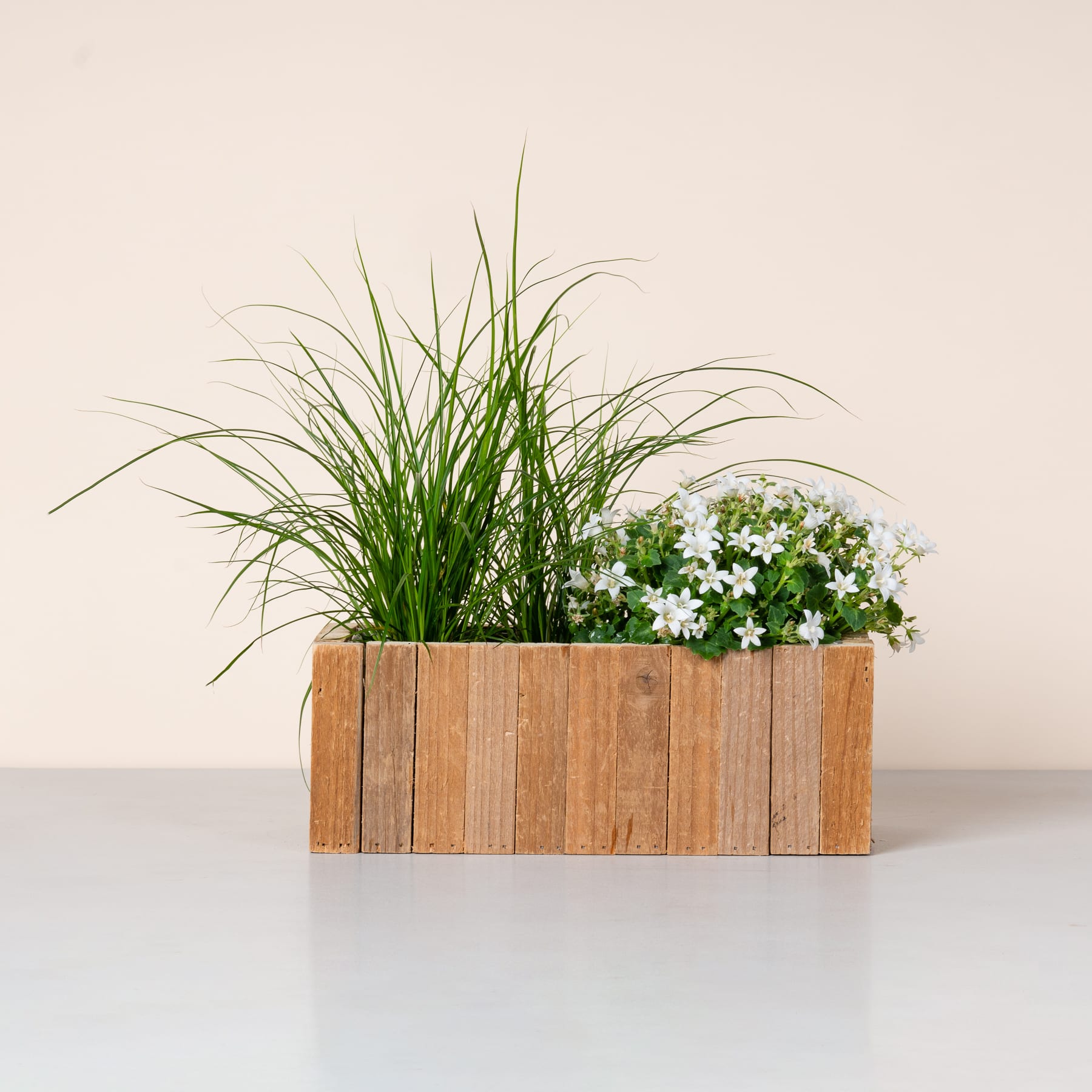 Auf einer schlichten weißen Oberfläche steht ein hölzerner Pflanzkasten voller üppigem grünem Gras und zarten weißen Blumen.