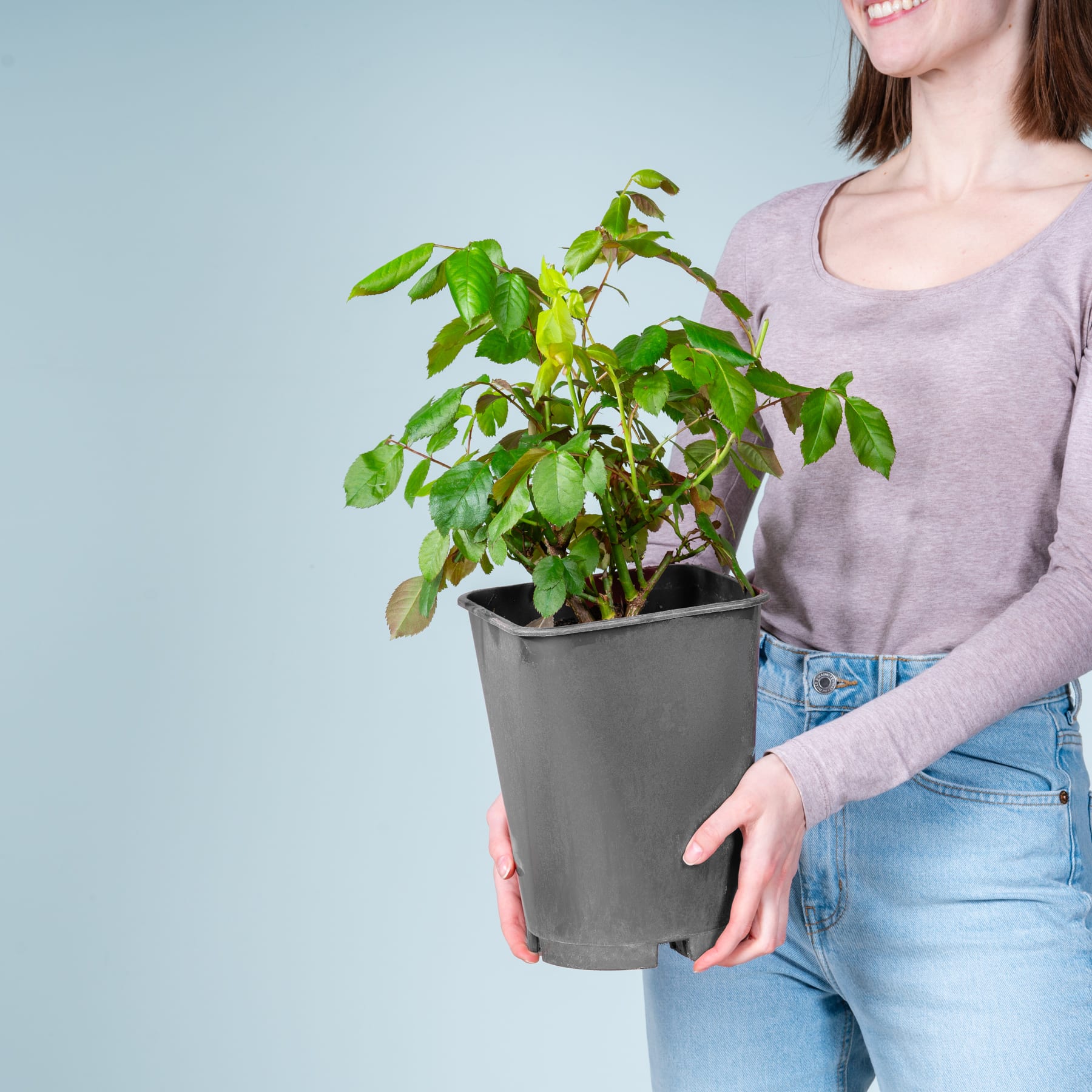 Eine junge Frau in Freizeitkleidung hält eine Topfpflanze mit üppigen grünen Blättern vor einem schlichten hellblauen Hintergrund.