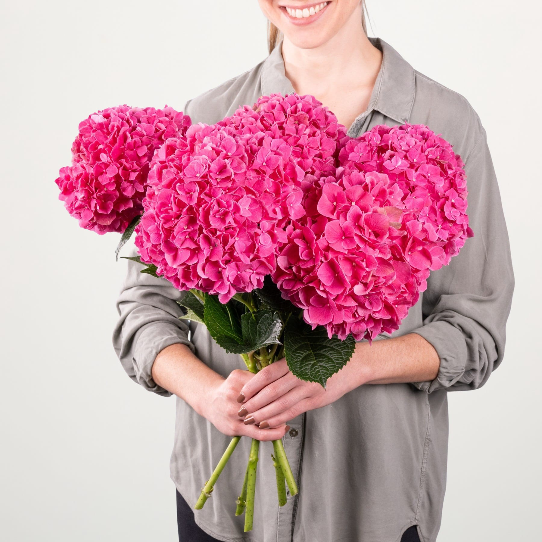 Rosa Hortensien - 5 Stiele