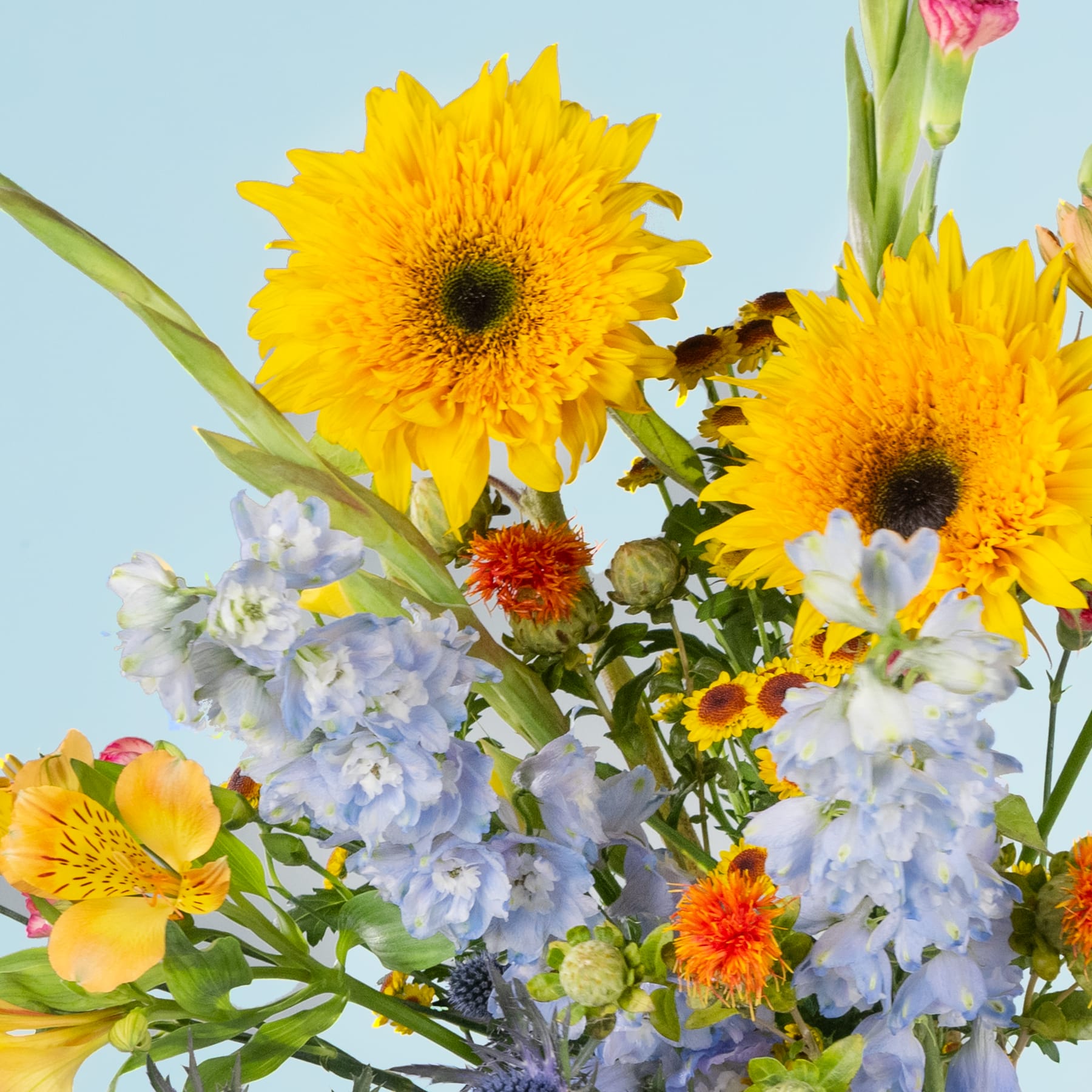 Leuchtend gelbe Sonnenblumen ragen hoch über einem Strauß bunter Blüten vor einem ruhigen blauen Himmel empor.