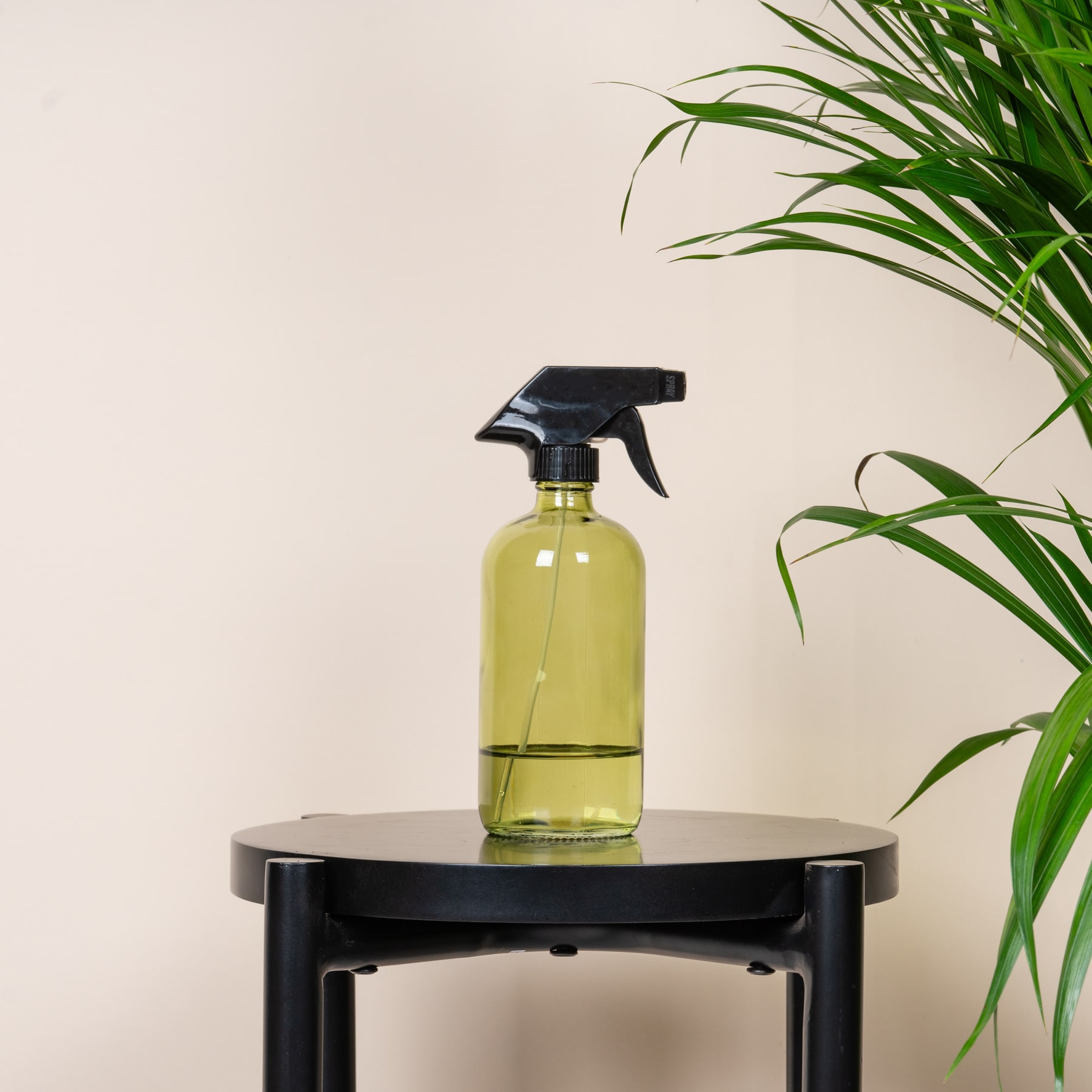 Eine gelbe Sprühflasche steht auf einem schwarzen Ständer, im Hintergrund vor einer hellen Wand eine Topfpflanze.