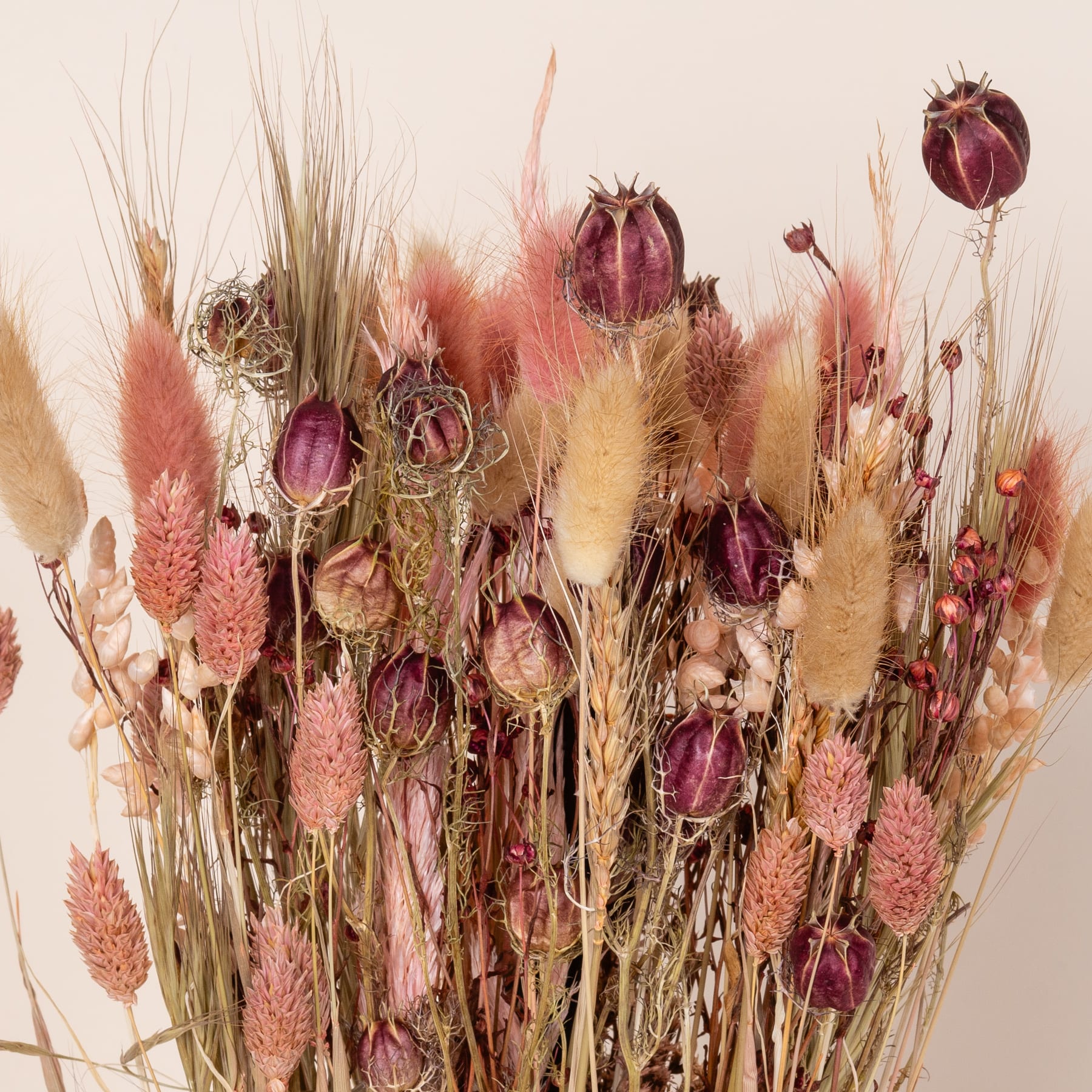 Ein lebendiges Arrangement aus getrockneten Blumen und Gräsern in Rosa-, Burgunder- und Gelbtönen, das vor einem neutralen Hintergrund ein fesselndes und strukturiertes Bild ergibt.