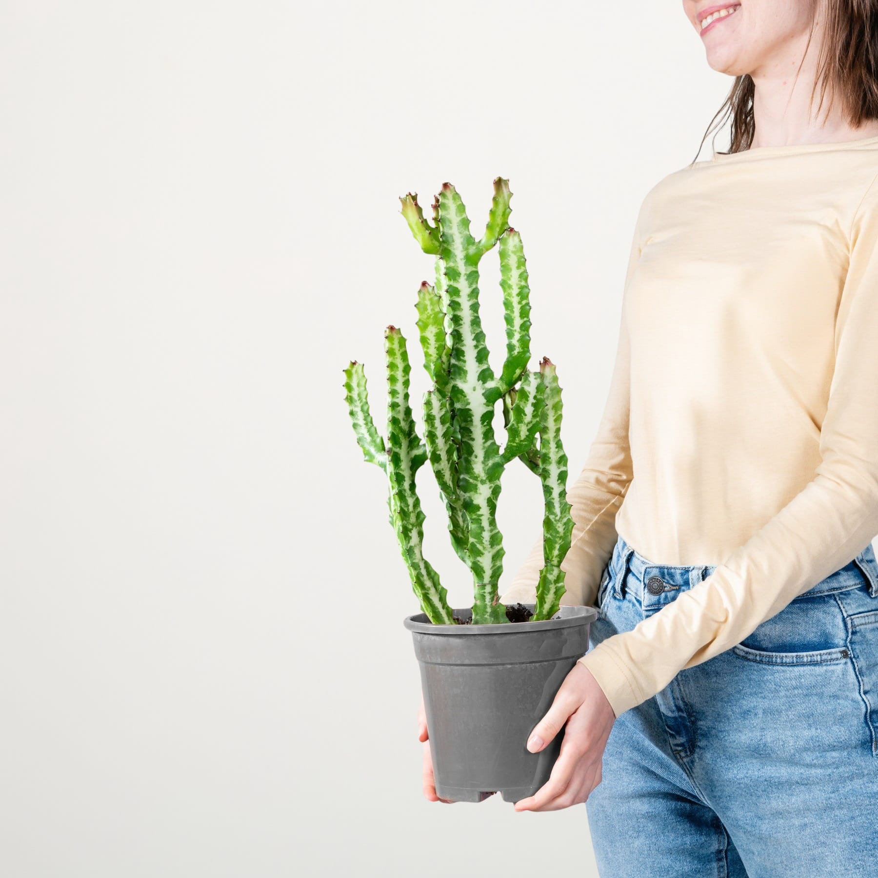 Eine junge Frau in einem beigen Pullover hält eine Topfkaktuspflanze vor einem schlichten weißen Hintergrund.