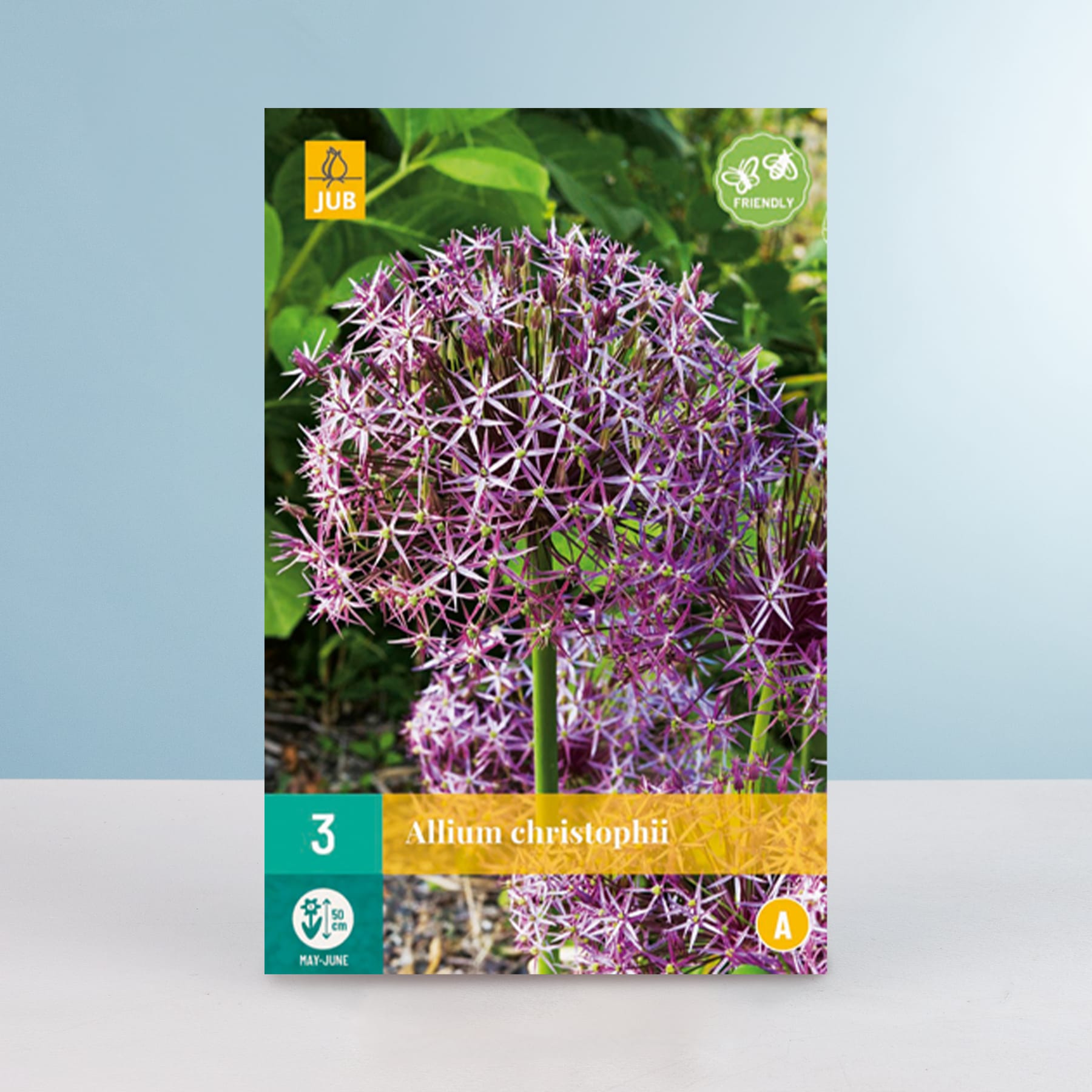 Eine leuchtend violette Alliumblüte mit ihren komplizierten sternförmigen Blütenblättern sticht deutlich vor einem verschwommenen grünen Laubhintergrund hervor.
