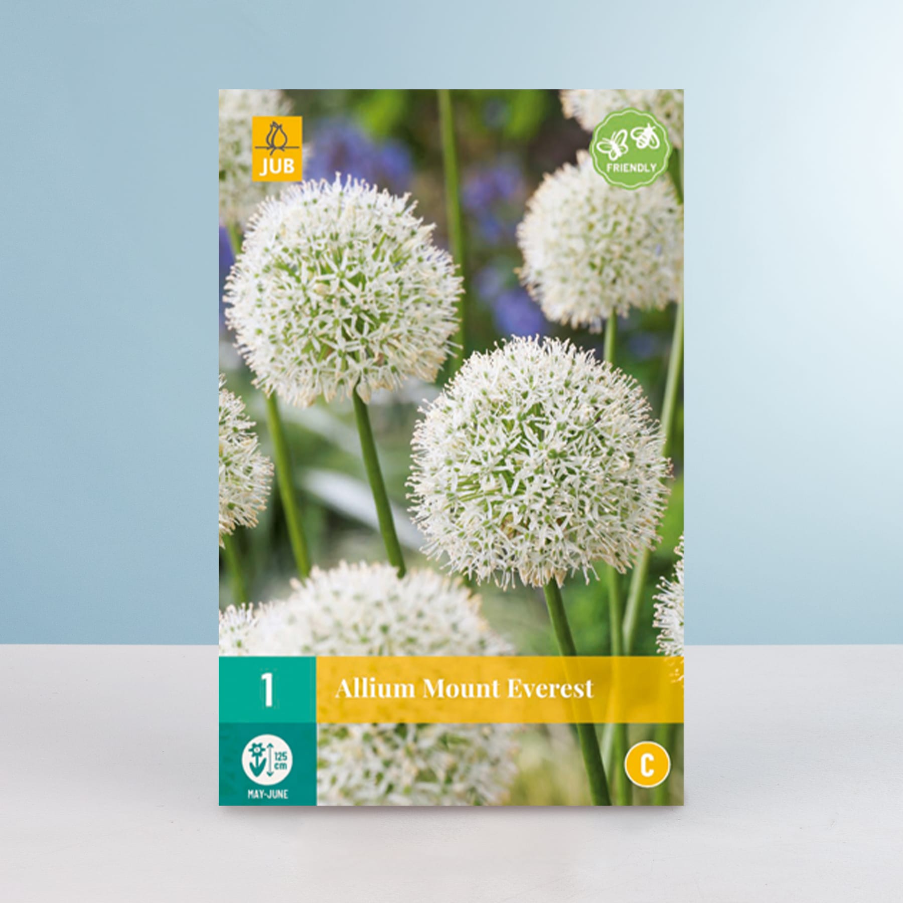 Das Bild zeigt mehrere große, kugelförmige weiße Blüten mit grüner Mitte vor einem unscharfen grün-blauen Hintergrund mit der Bezeichnung „Allium Mount Everest“.