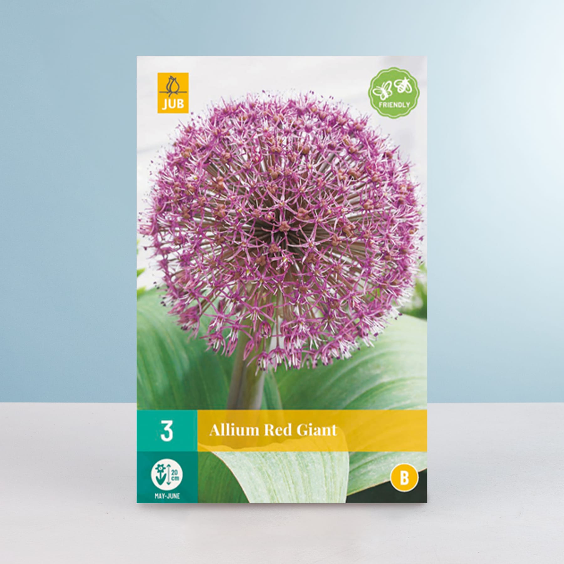 Eine leuchtend violette Alliumblüte mit ihrer charakteristischen Kugelform sticht deutlich vor einem hellblauen Hintergrund hervor und stellt ihre komplexen Details und ihre bezaubernde Schönheit zur Schau.