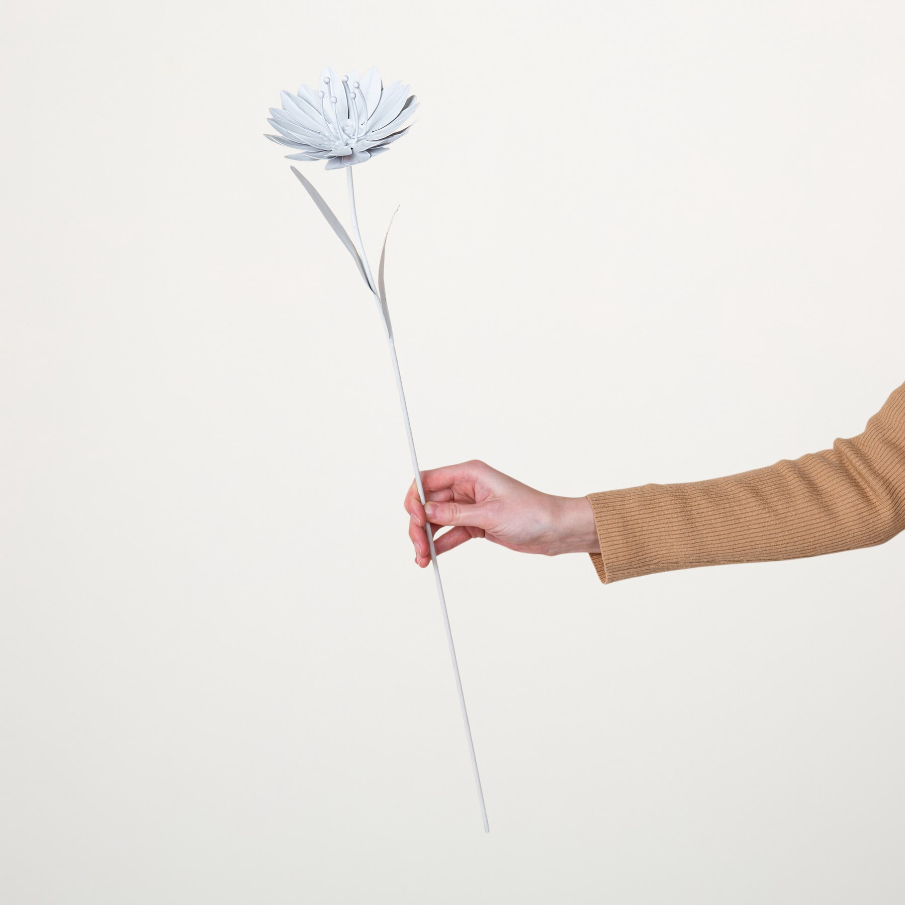 Eine Hand, die eine zarte, hellblaue Blume vor einem schlichten weißen Hintergrund hält.