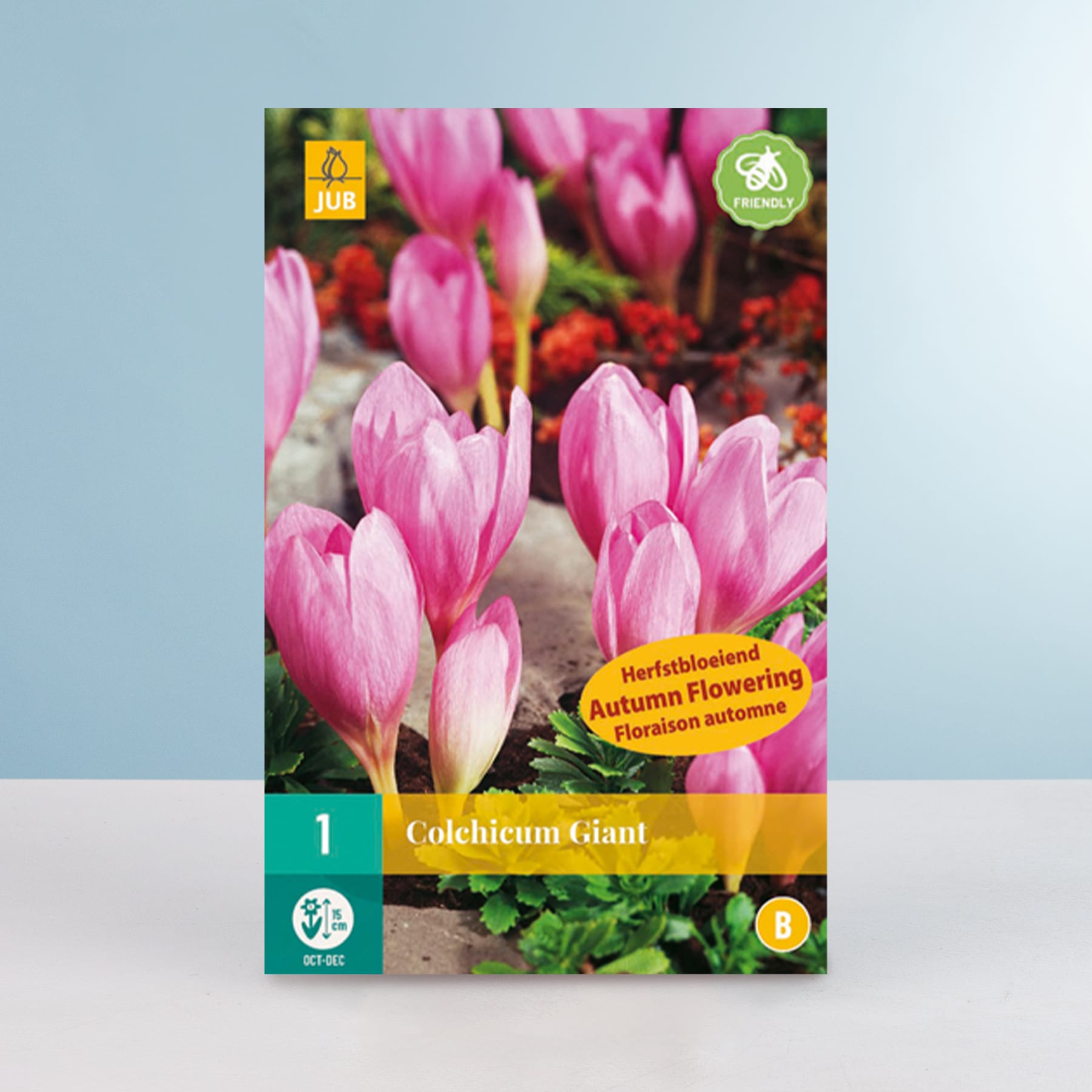 Das Bild zeigt eine Packung Herbstblüherzwiebeln der Sorte Colchicum Giant mit leuchtend rosa, krokusartigen Blüten, die vor einem hellblauen Hintergrund blühen.
