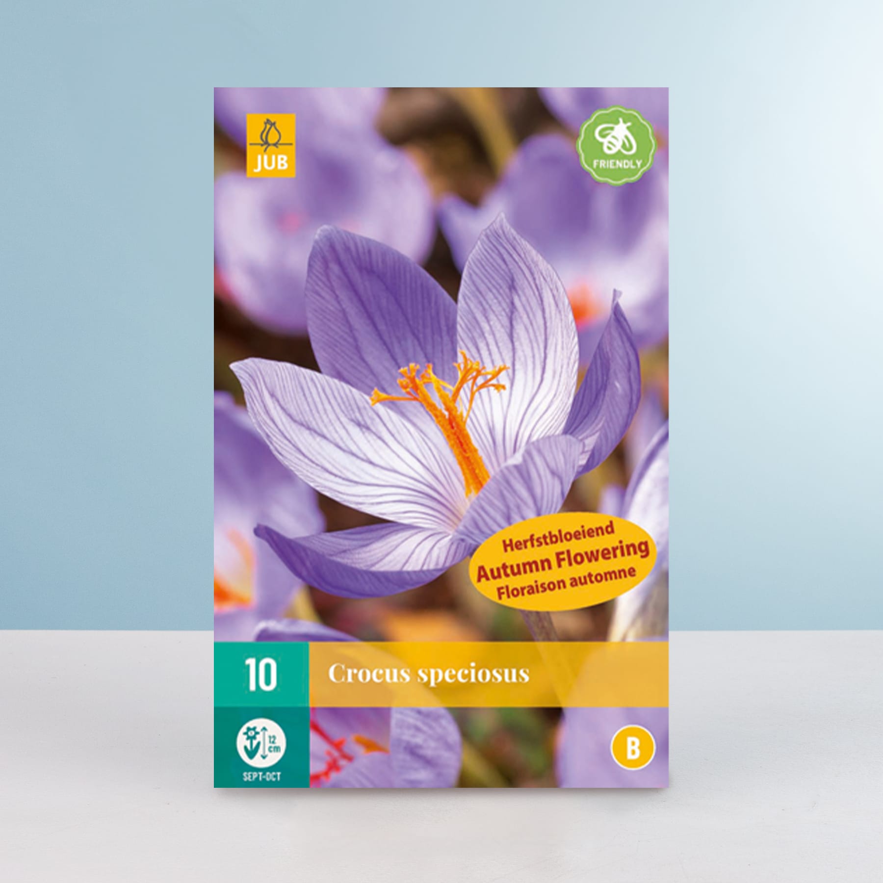 Das Bild zeigt eine Nahaufnahme einer leuchtend violetten Krokusblüte mit ihrer charakteristischen orangefarbenen Narbe vor einem unscharfen Hintergrund.