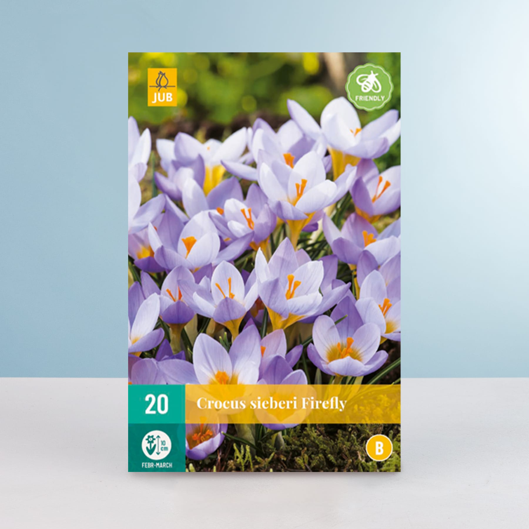 Das Bild zeigt eine Nahaufnahme einer Gruppe leuchtend violetter Krokusblüten mit gelber Mitte vor einem unscharfen grün-blauen Hintergrund.