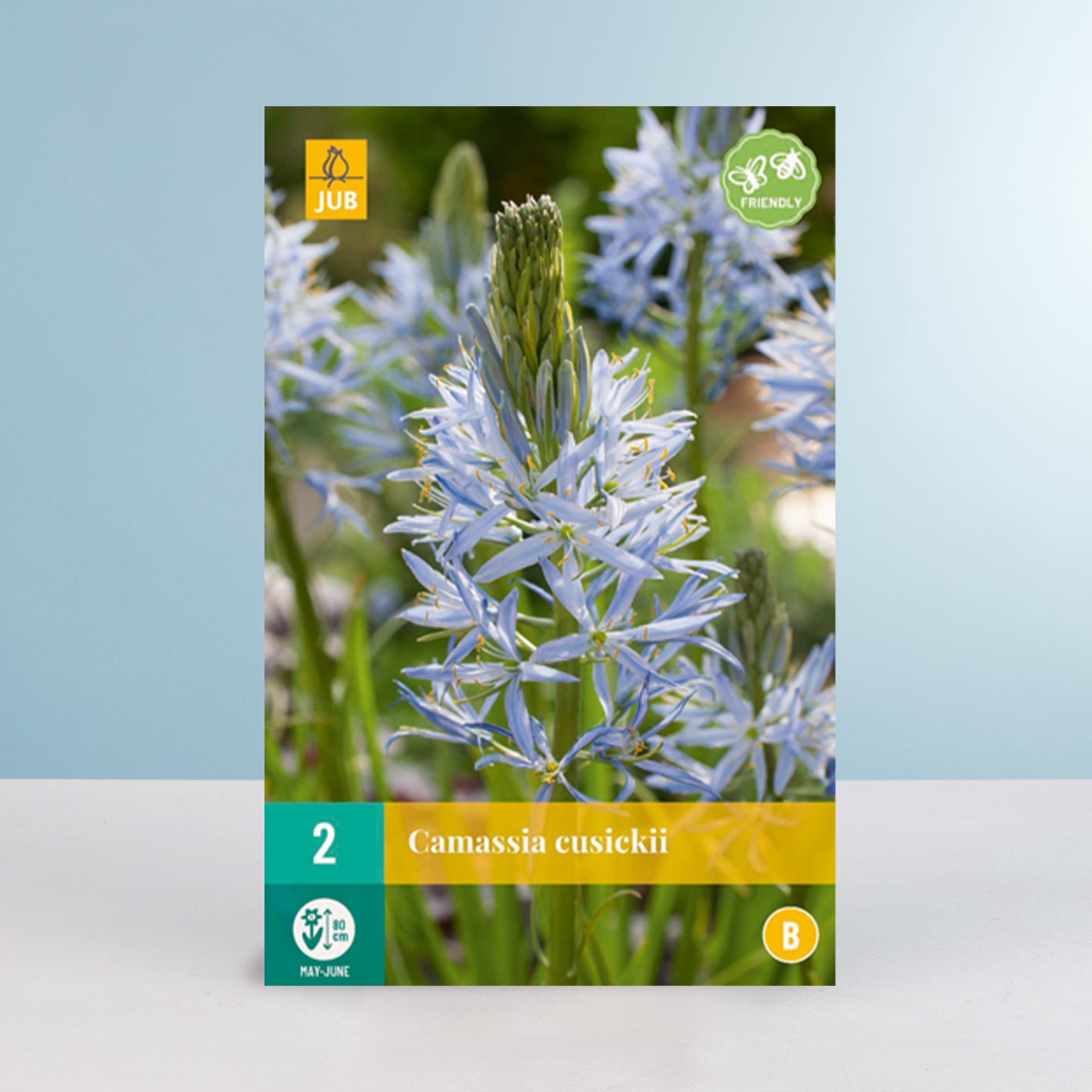 Das Bild zeigt eine Nahaufnahme einer Gruppe zarter, weißer Blüten mit violetter Mitte, umgeben von üppigem grünem Laub vor einem sanften blauen Hintergrund.