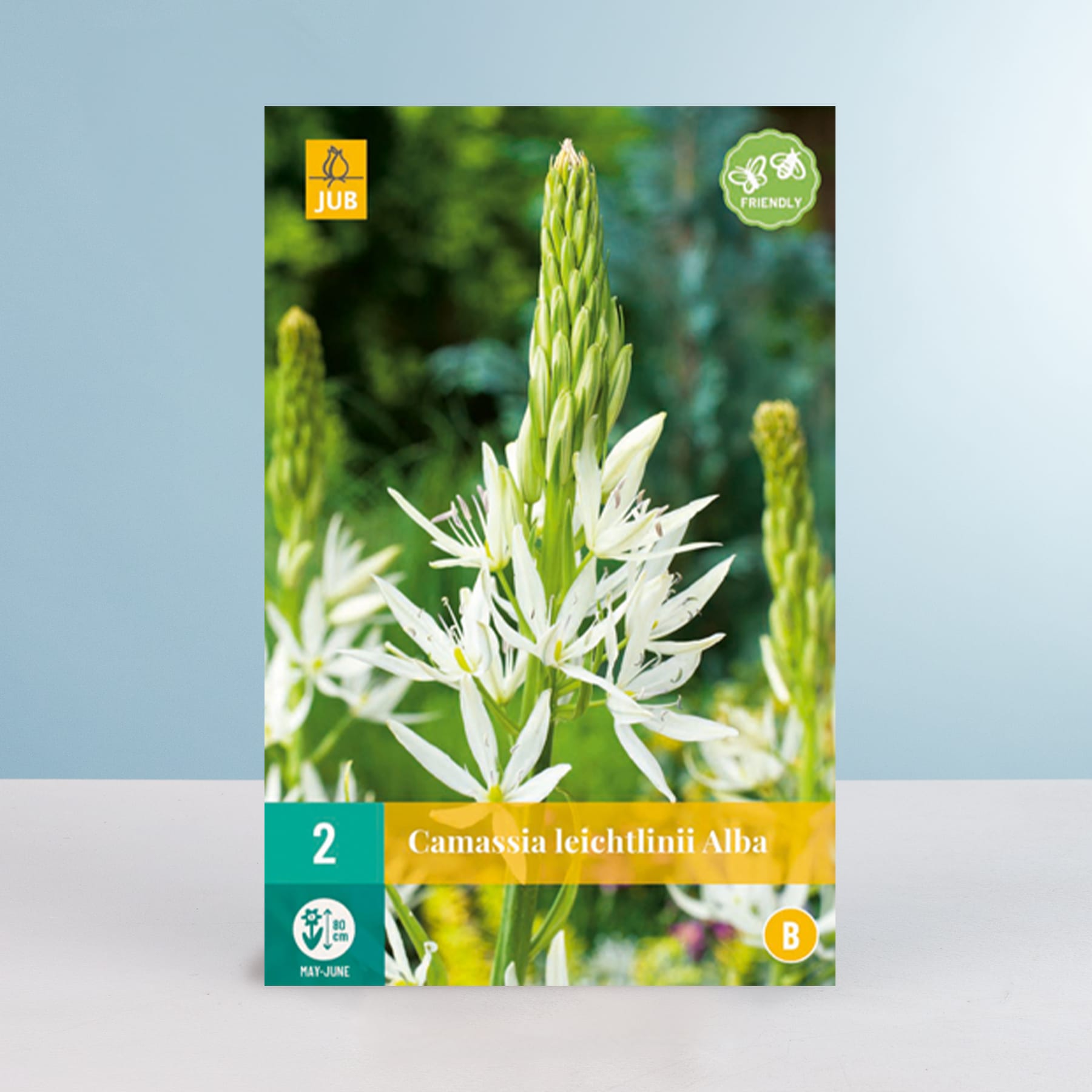 Das Bild zeigt eine Nahaufnahme einer weiß blühenden Pflanze mit langen, schlanken Stielen vor einem unscharfen grünen Hintergrund.