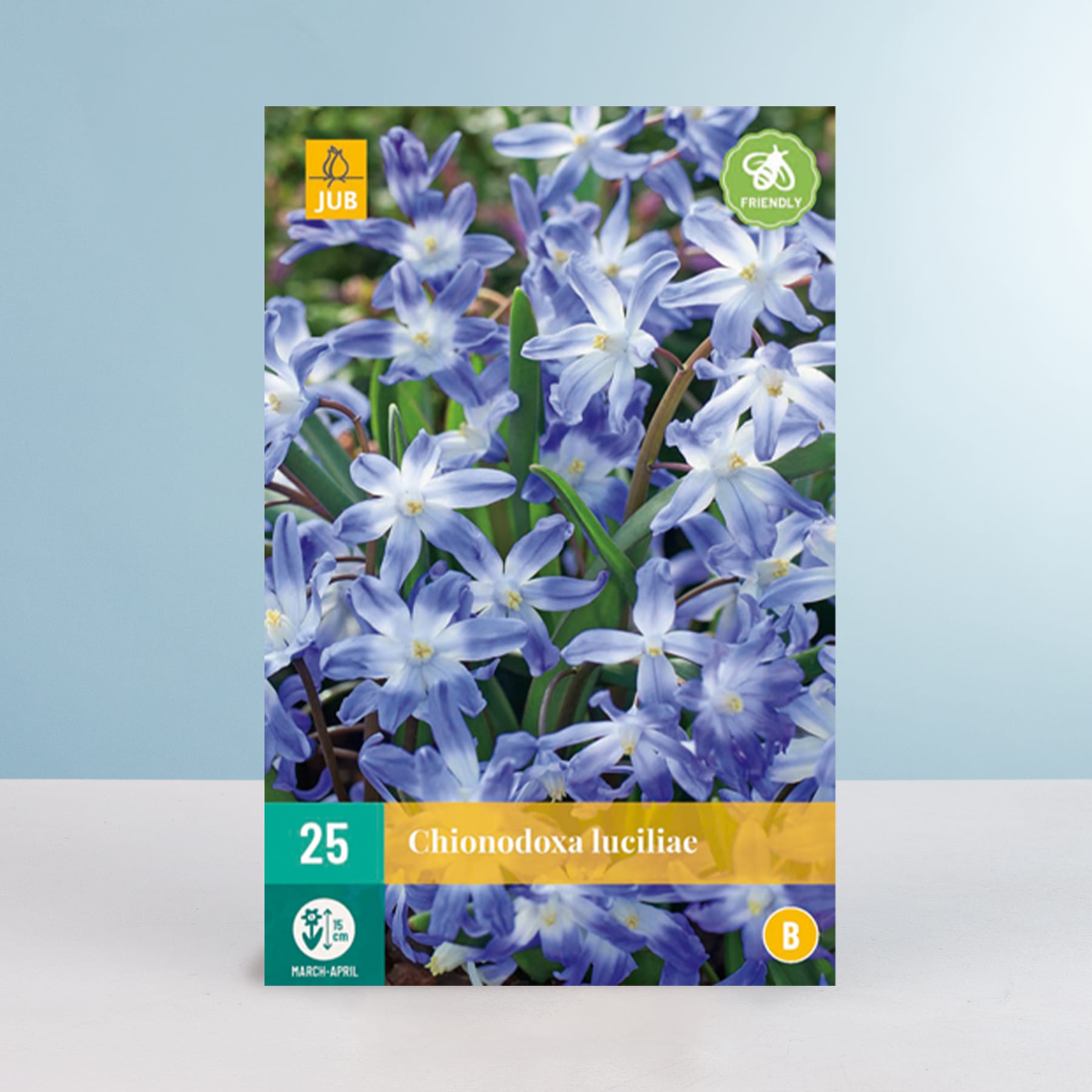 Das Bild zeigt eine Nahaufnahme einer Ansammlung zarter, sternförmiger blauer und weißer Blüten vor einem sanften blauen Hintergrund mit einem Etikett, das die Pflanze als Chionodoxa luciliae identifiziert.