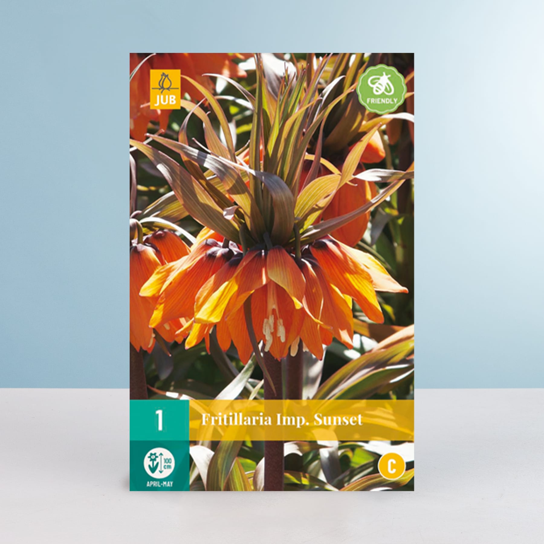 Das Bild zeigt eine leuchtend orangerote Blume mit nach außen strahlenförmig angeordneten Blütenblättern, umgeben von üppigem grünem Laub vor einem hellblauen Hintergrund.