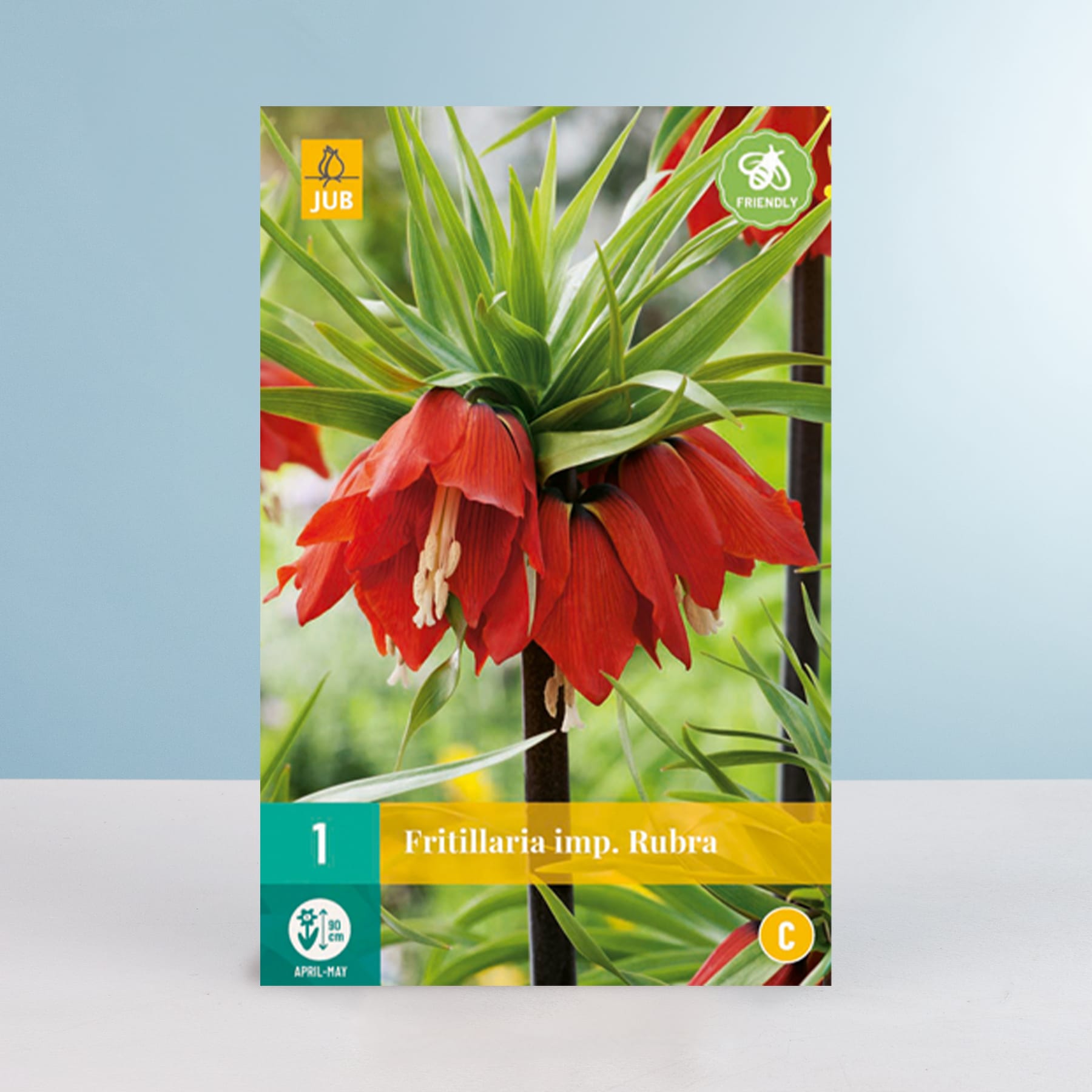 Das Bild zeigt eine leuchtend rote Blume mit großen, herabhängenden Blütenblättern, umgeben von grünem Laub vor einem hellblauen Hintergrund.