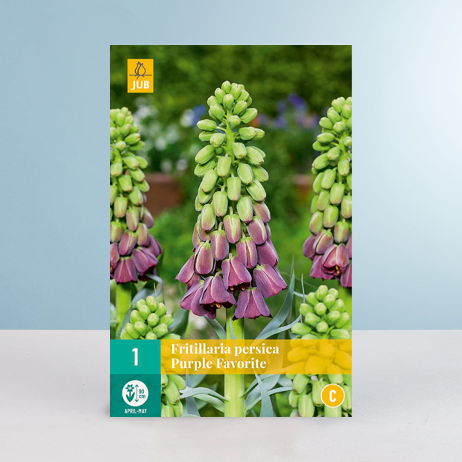 Das Bild zeigt eine Nahaufnahme einer Ansammlung violetter und grüner Blumen vor einem unscharfen grün-blauen Hintergrund.