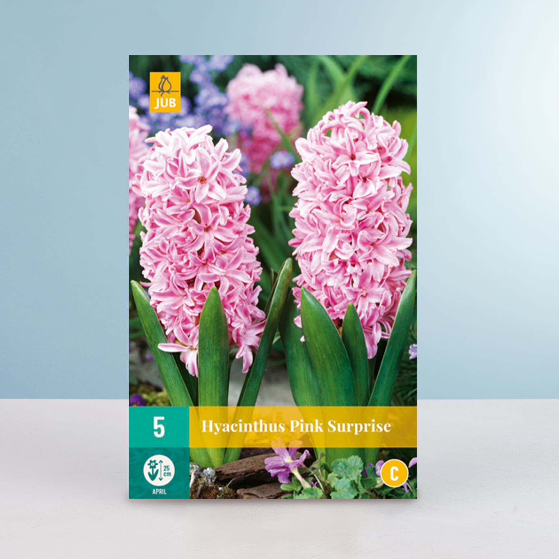 Das Bild zeigt eine Nahaufnahme mehrerer leuchtend rosa Hyazinthenblüten mit grünem Laub vor einem unscharfen Hintergrund.