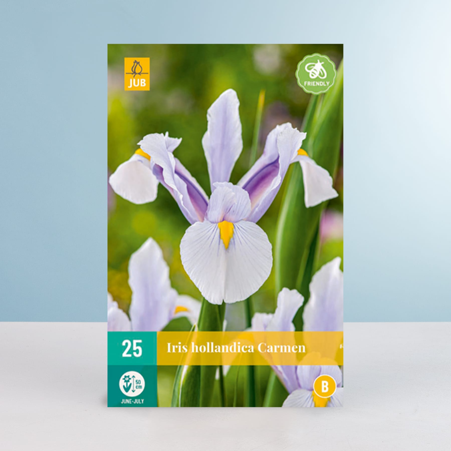 Das Bild zeigt eine Nahaufnahme mehrerer weißer und violetter Irisblüten mit gelber Mitte vor einem unscharfen grünen Hintergrund.