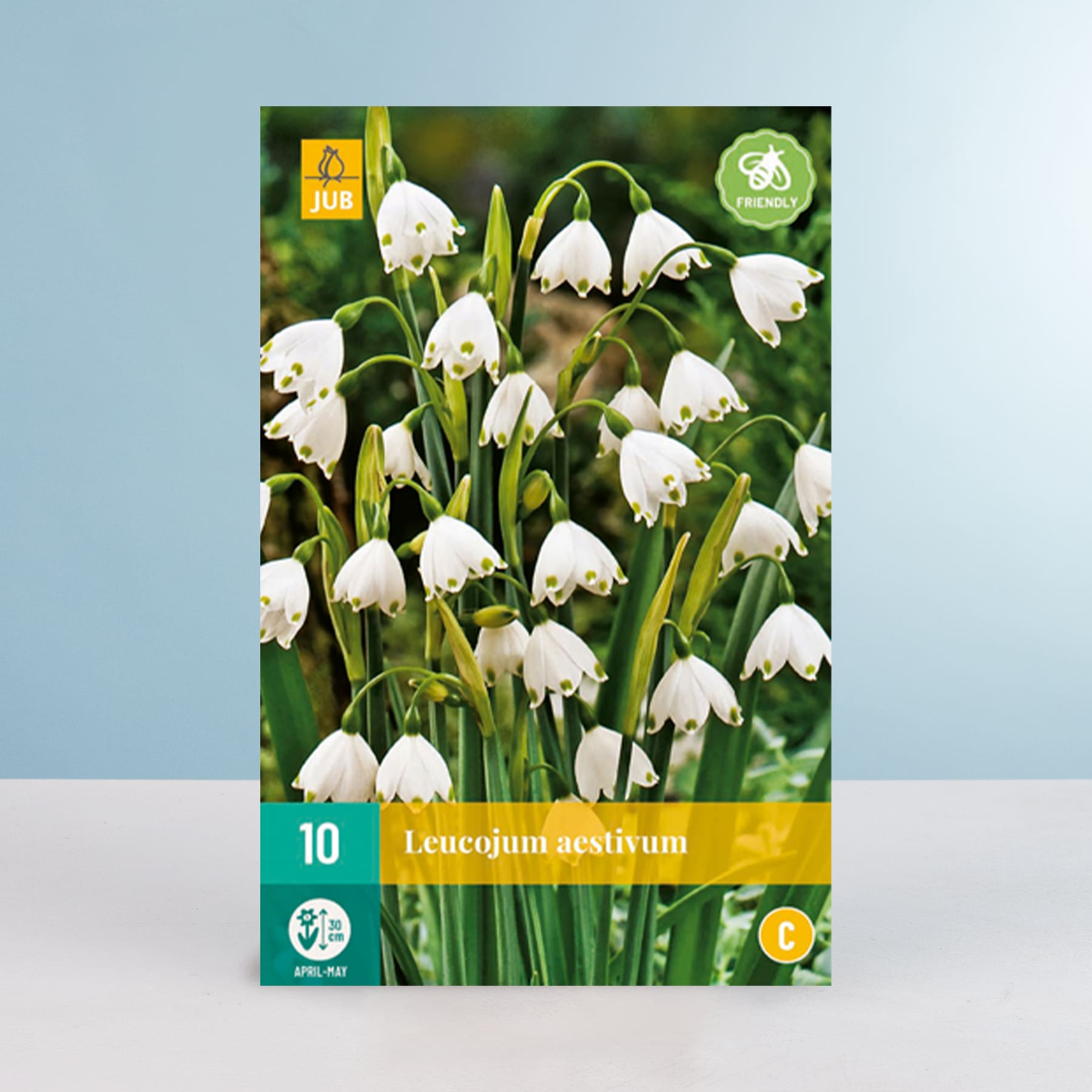 Das Bild zeigt eine Ansammlung zarter weißer Schneeglöckchenblüten mit grünen Stielen und Blättern vor einem unscharfen grünen Hintergrund.