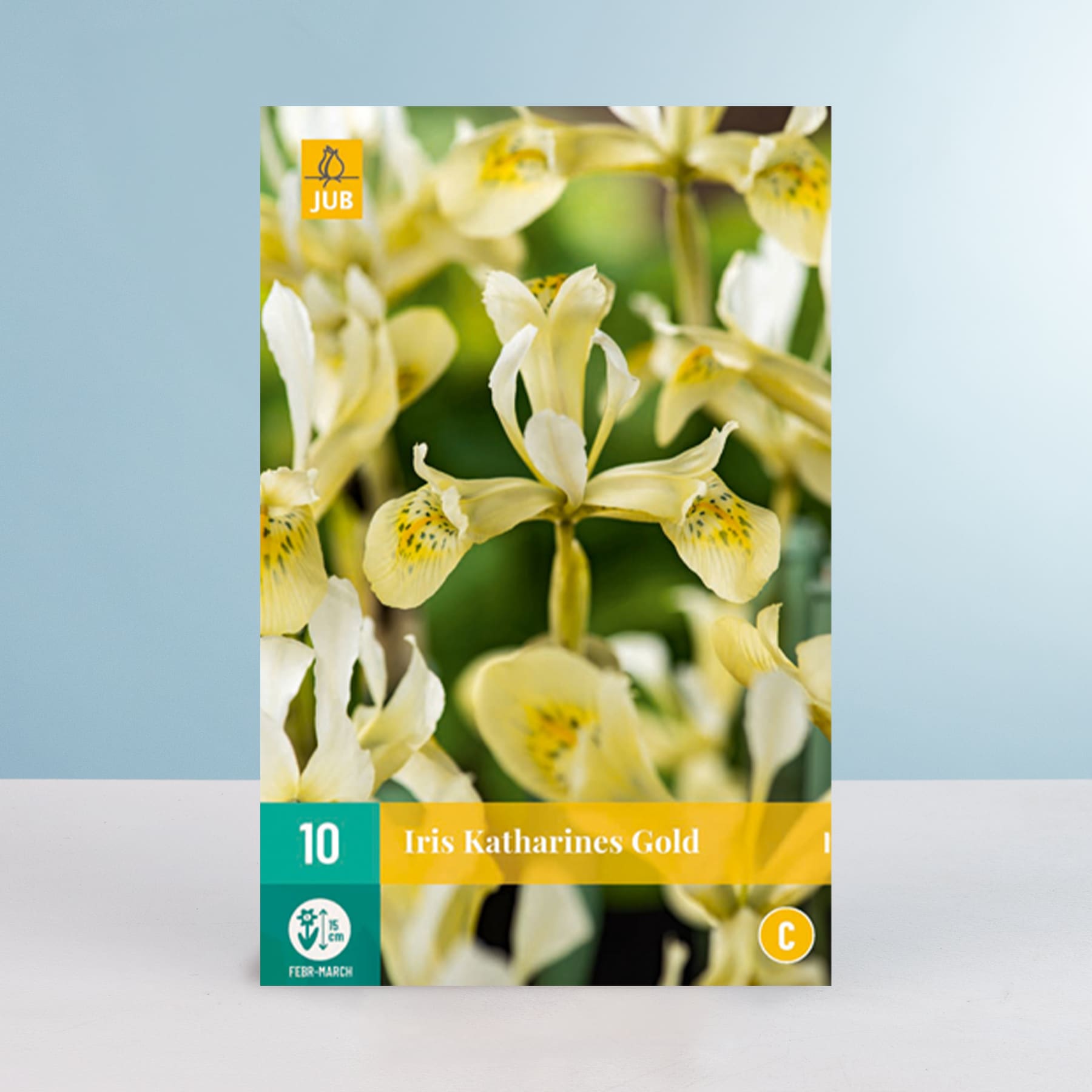 Das Bild zeigt eine Nahaufnahme mehrerer gelber Schwertlilienblüten mit zarten Blütenblättern vor einem unscharfen grün-blauen Hintergrund.