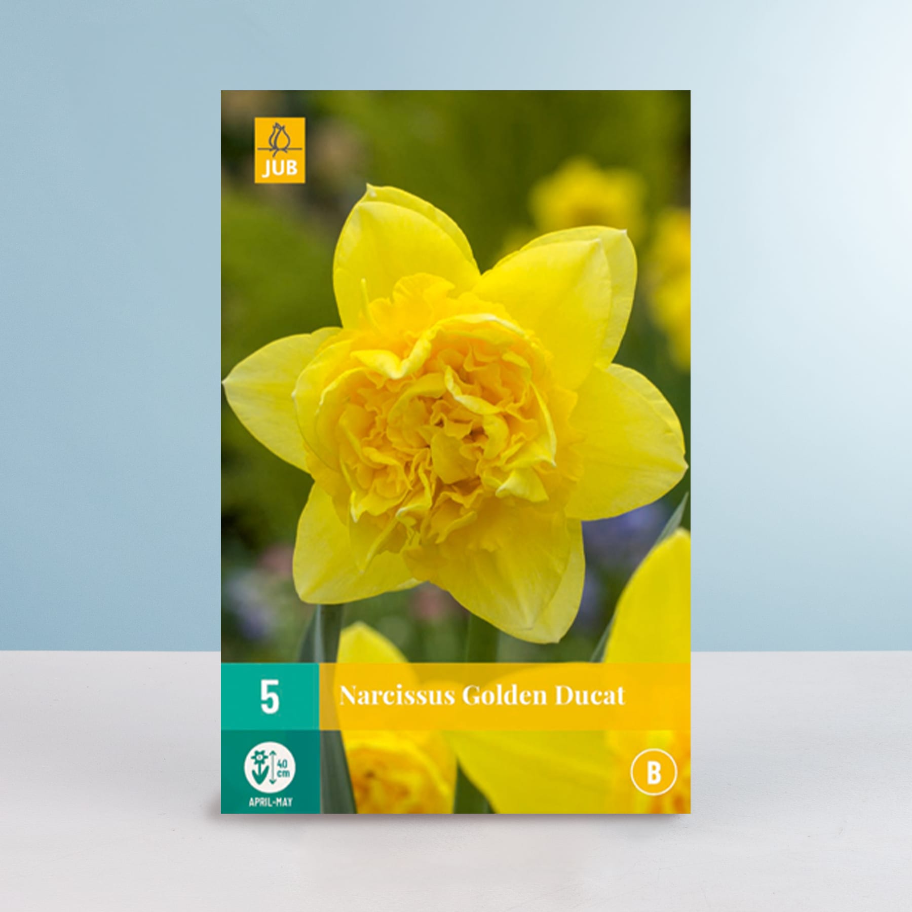 Eine leuchtend gelbe Narzissenblüte mit goldener Mitte hebt sich deutlich von einem verschwommenen grün-blauen Hintergrund ab.