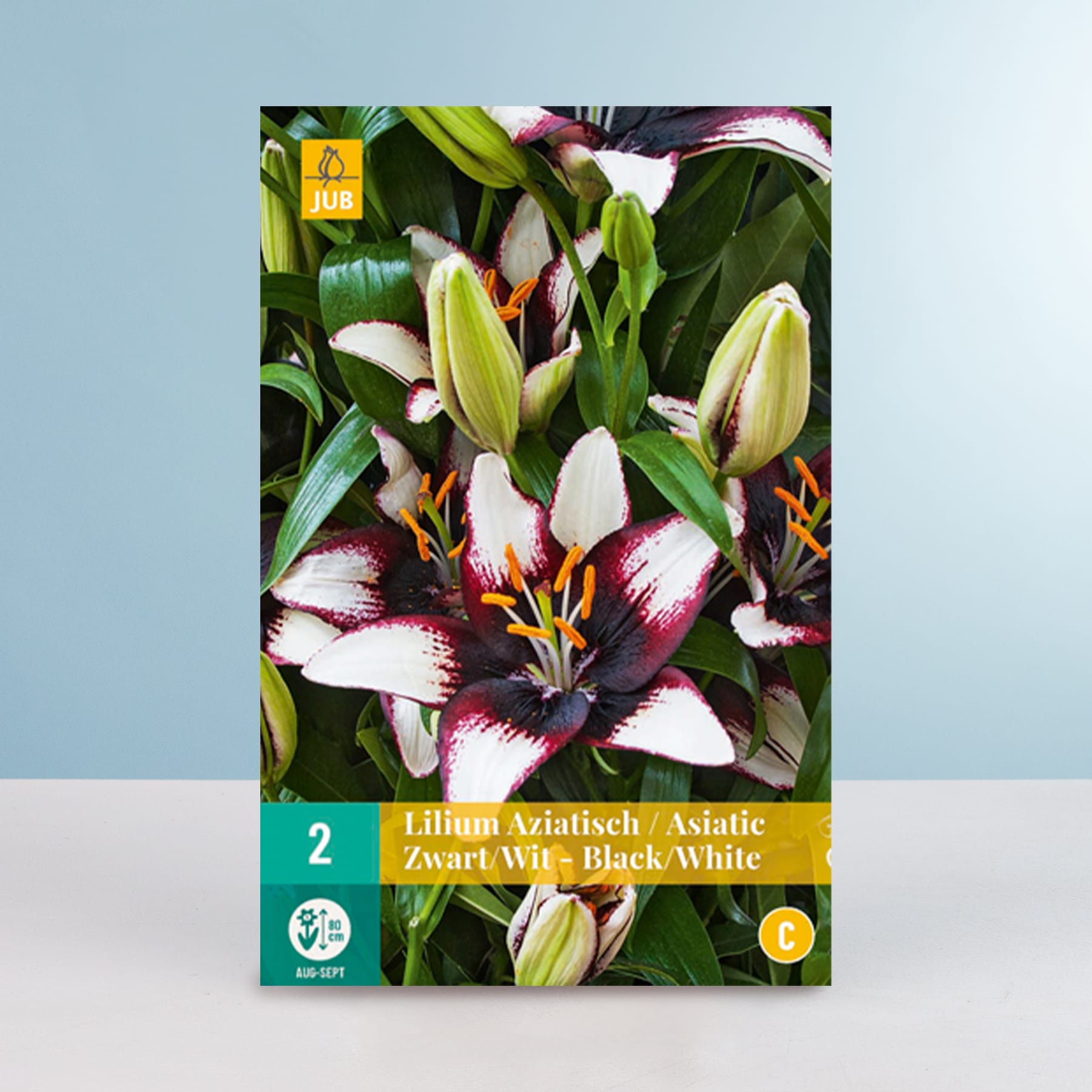 Das Bild zeigt eine Nahaufnahme mehrerer leuchtender Lilienblüten mit weißen und violetten Blütenblättern vor einem grünen Hintergrund. Die Lilien scheinen Teil einer Produktverpackung oder eines Etiketts zu sein, wobei eine Etikettennummer und ein Text sichtbar sind.