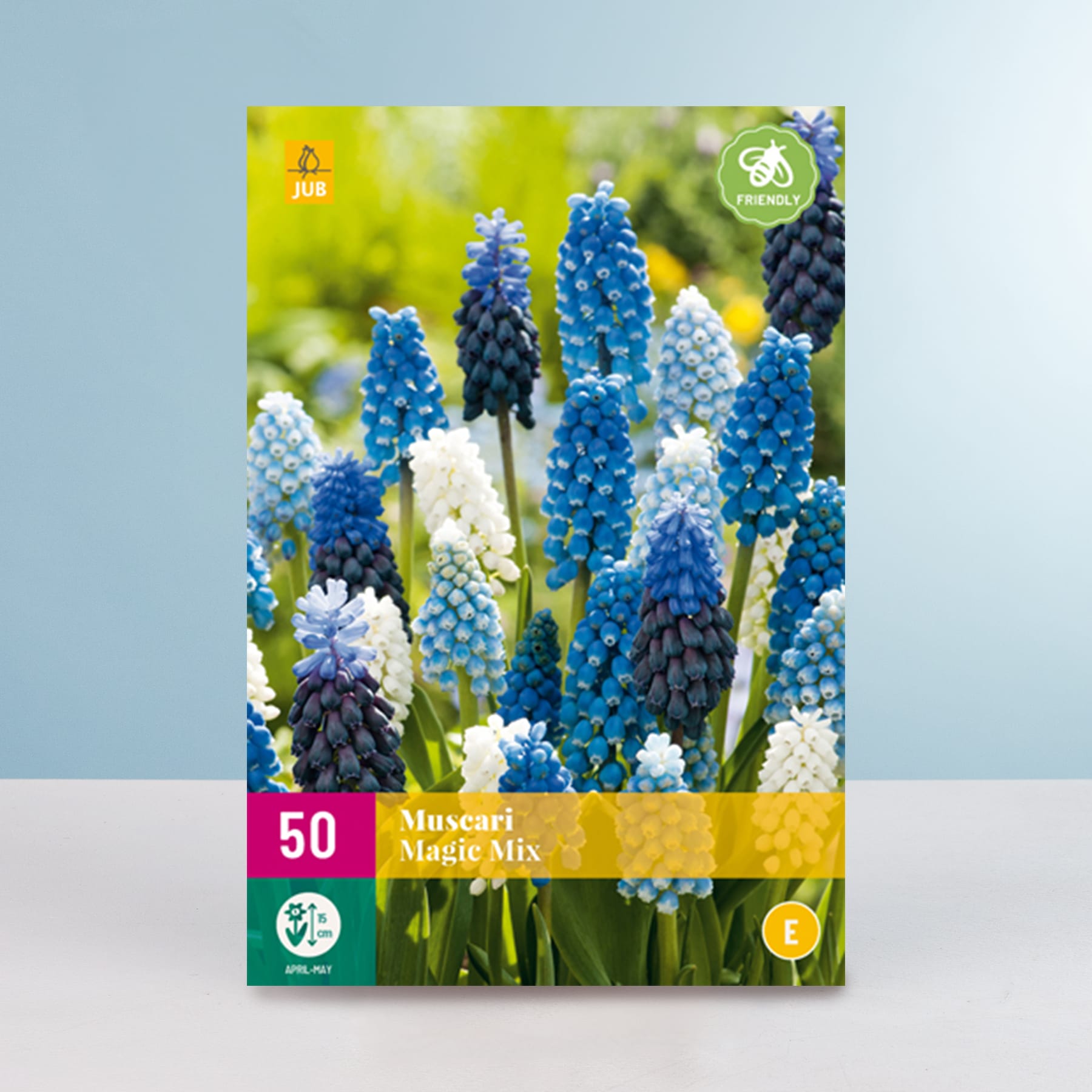 Das Bild zeigt eine leuchtende Pracht blauer und weißer Traubenhyazinthenblüten vor einem unscharfen grün-gelben Hintergrund, wodurch eine optisch beeindruckende und heitere Szene entsteht.