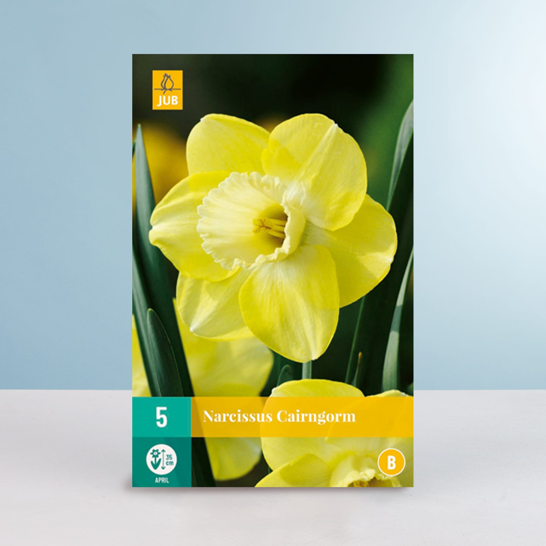 Eine leuchtend gelbe Narzissenblüte sticht deutlich vor einem sanften blaugrünen Hintergrund hervor, und auf dem Etikett ist die Sorte „Narcissus Cairngorm“ angegeben.