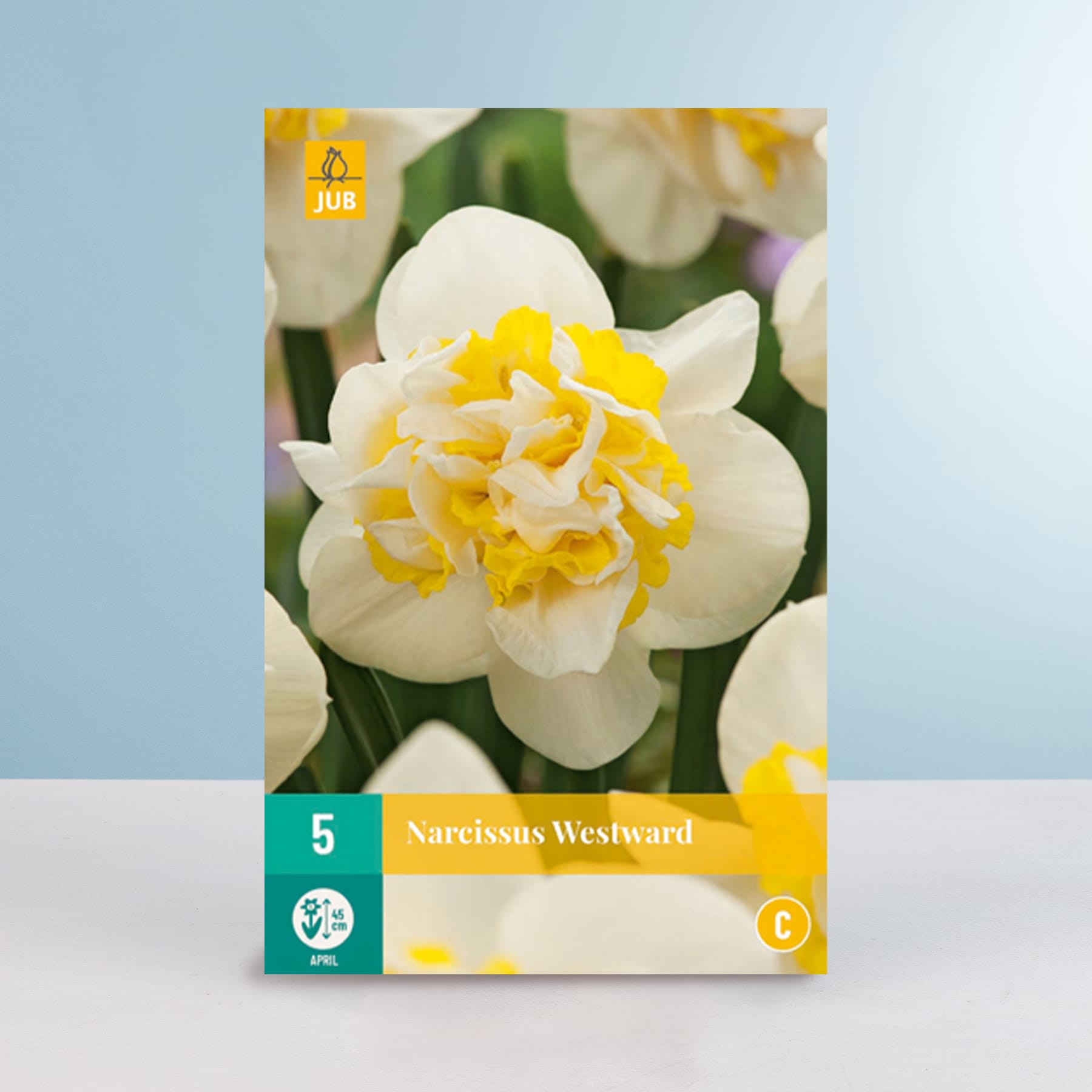 Das Bild zeigt eine Nahaufnahme einer wunderschönen weiß-gelben Narzissenblüte mit einem grün-gelben Etikett, das die Sorte „Narcissus Westward“ kennzeichnet. Der Hintergrund ist in einem sanften Blau gehalten und schafft so eine ruhige und natürliche Atmosphäre für die leuchtende Blume.