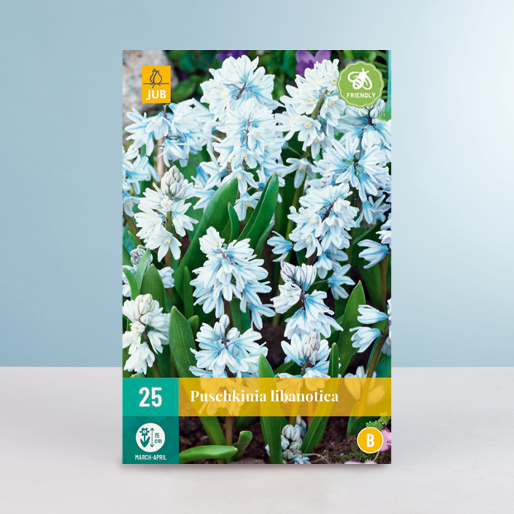 Das Bild zeigt eine Packung Zwiebeln der Sorte Puschkinia libanotica mit leuchtend weißen und grünen Blüten im Hintergrund.