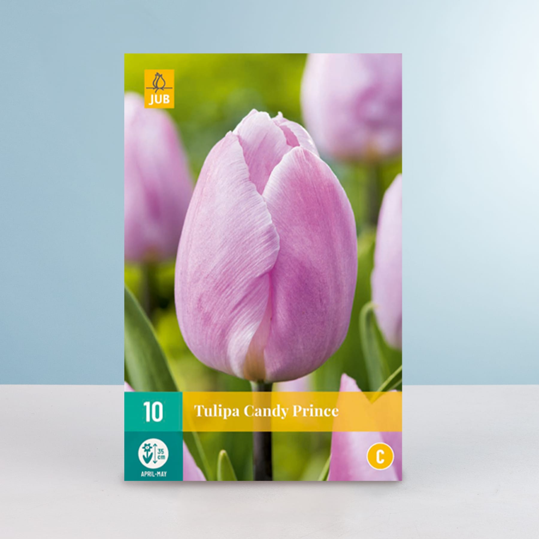 Das Bild zeigt eine Nahaufnahme einer leuchtend rosa Tulpenblüte mit einer weichen, samtigen Textur vor einem unscharfen grün-blauen Hintergrund.
