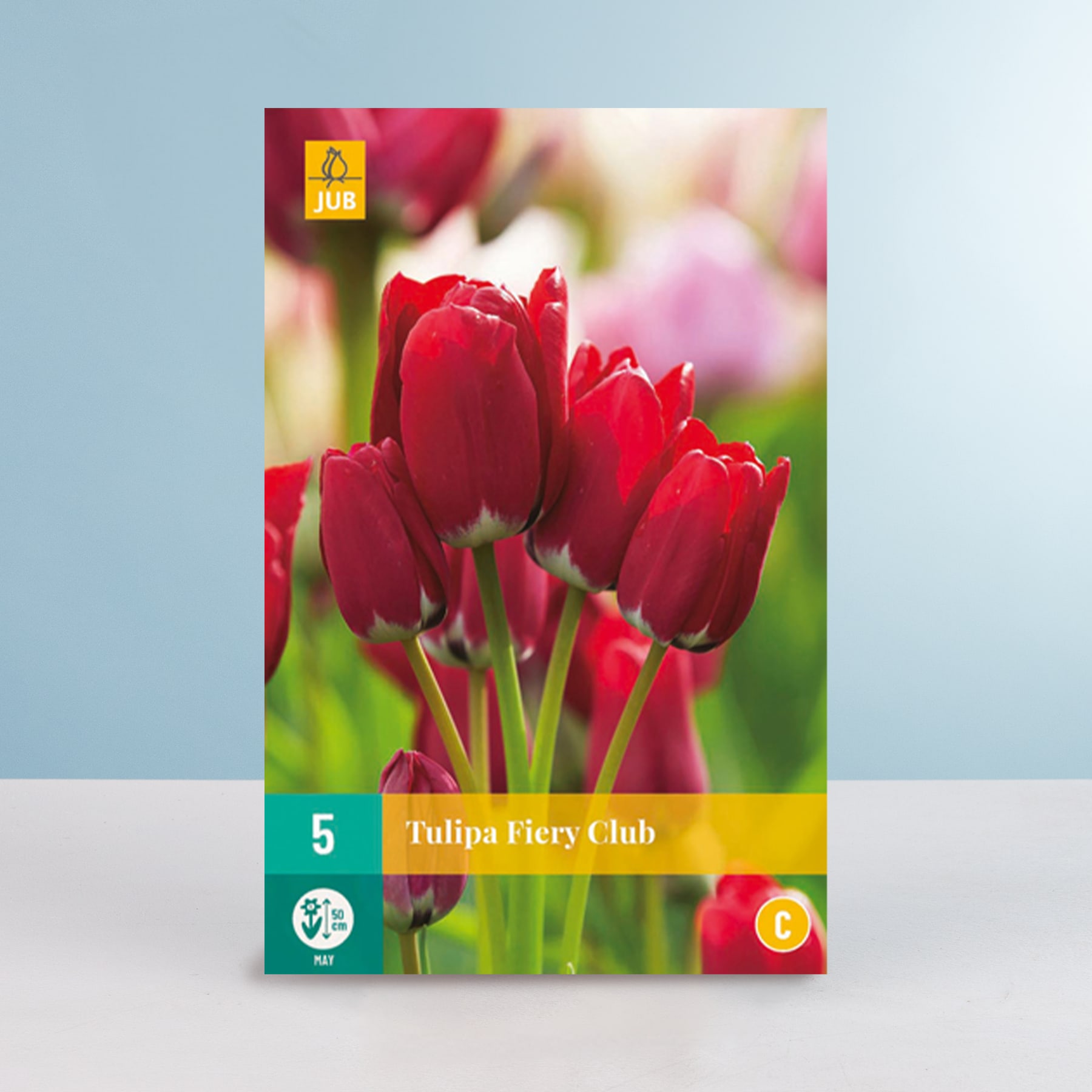 Leuchtend rote Tulpen ragen hoch vor einem verschwommenen grünen und blauen Hintergrund empor und schaffen eine optisch beeindruckende und farbenfrohe Szene.