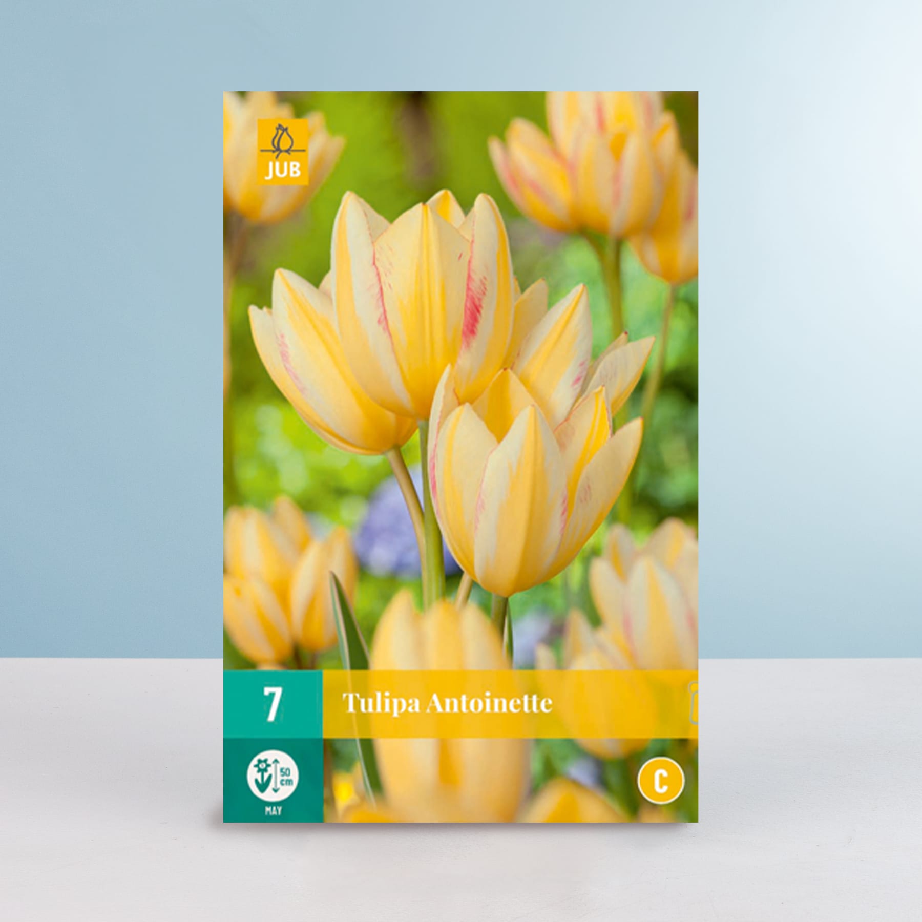 Leuchtend gelbe Tulpen mit einem Hauch von rosa Blütenblättern heben sich von einem verschwommenen grünen und blauen Hintergrund ab.