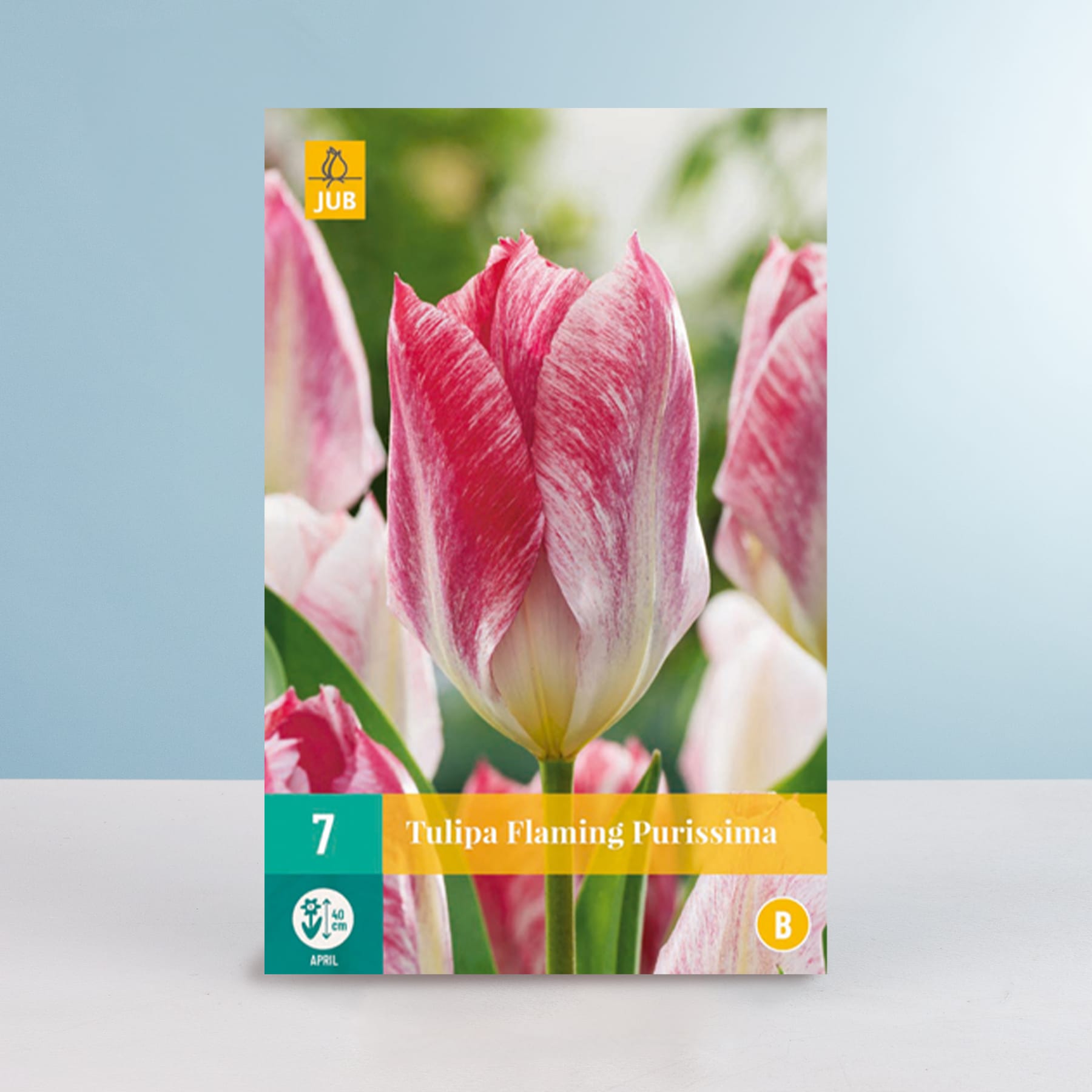Das Bild zeigt eine Nahaufnahme mehrerer leuchtend rosa Tulpen mit gelber Mitte vor einem unscharfen grün-blauen Hintergrund.