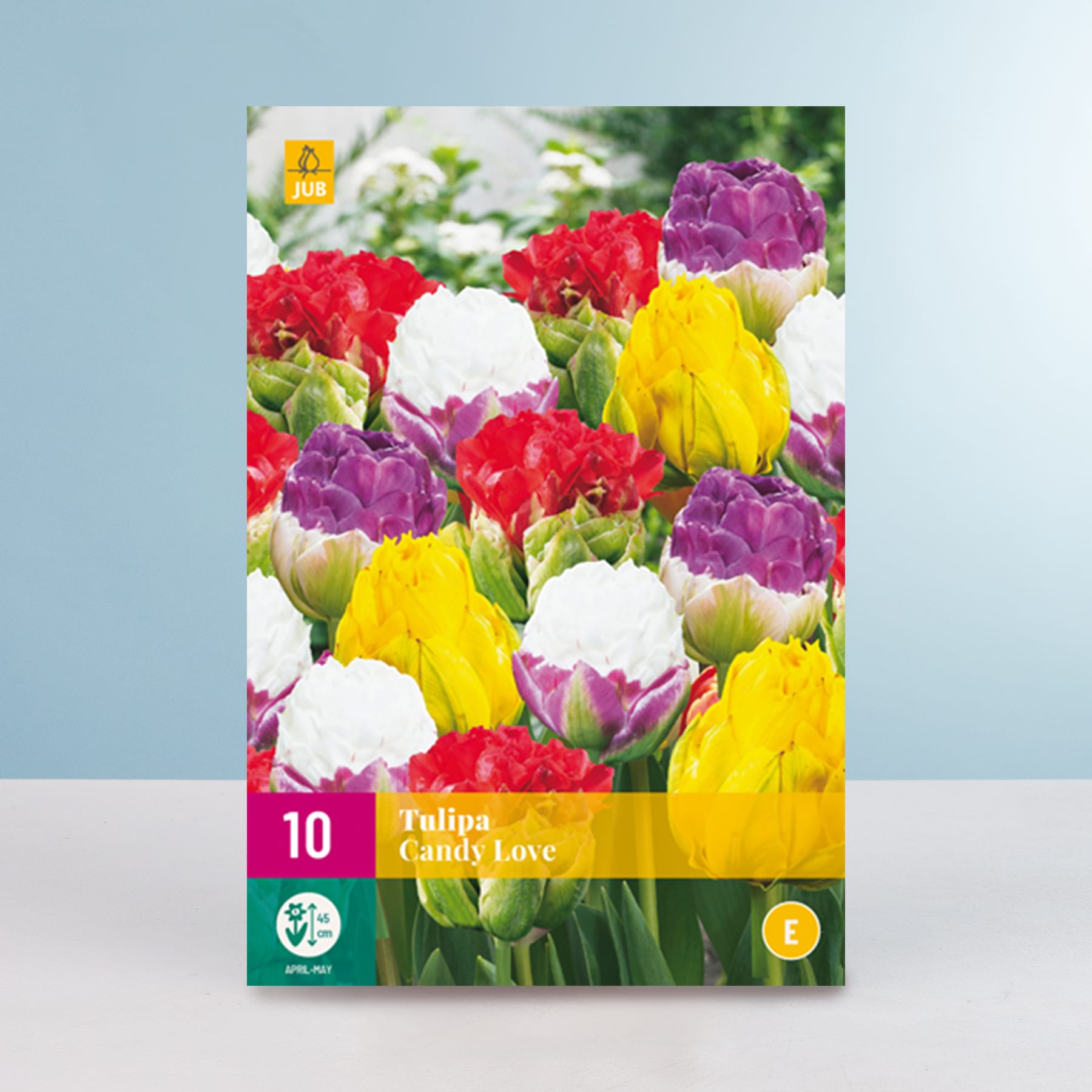 Eine leuchtende Auswahl an Tulpen in verschiedenen Farben, darunter Rot, Gelb und Lila, vor einem verschwommenen grünen Hintergrund.