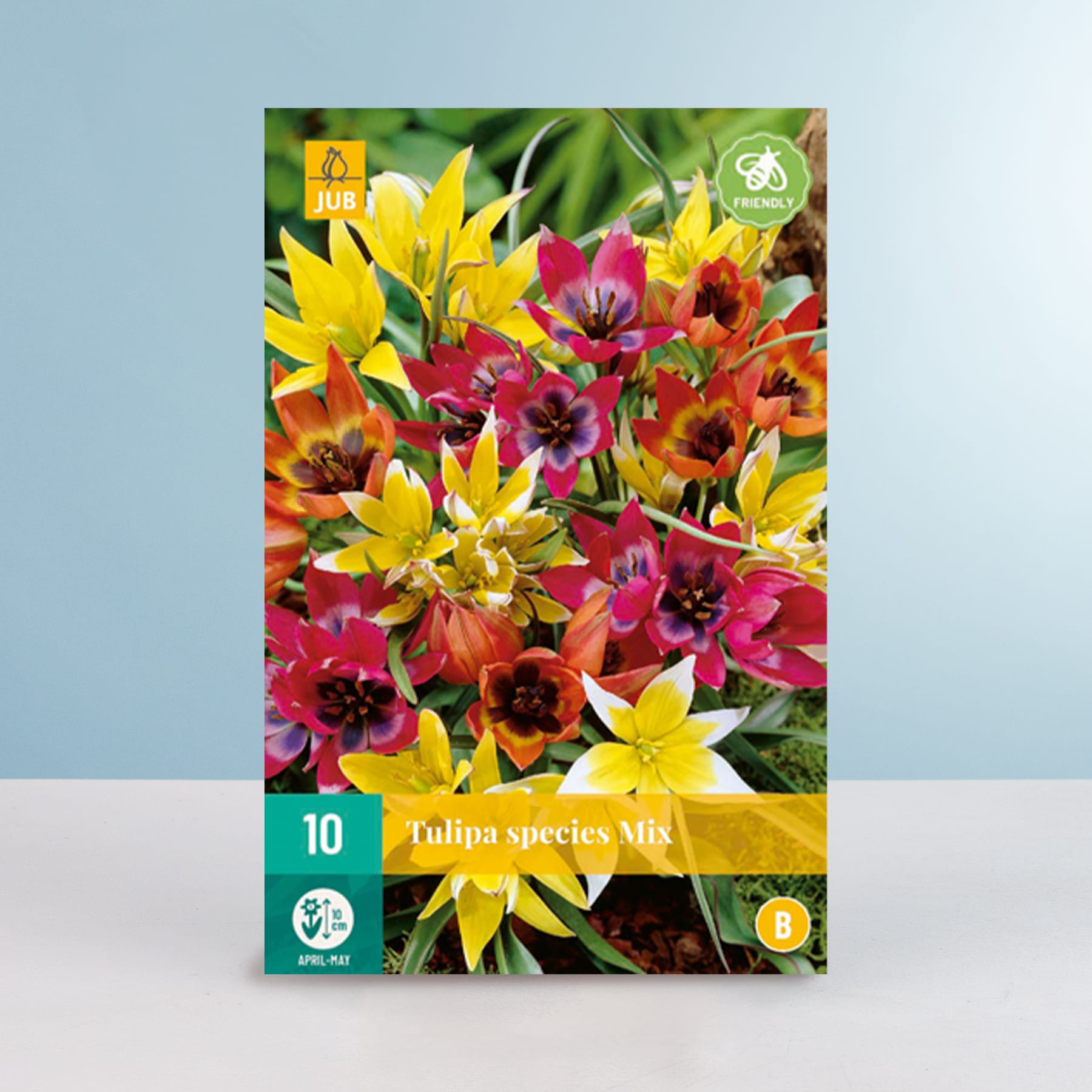 Das Bild zeigt einen farbenfrohen Strauß Tulpen in verschiedenen Gelb-, Rot- und Orangetönen vor einem schlichten blaugrünen Hintergrund. Die Tulpen scheinen eine Mischung verschiedener Arten zu sein, was ein optisch beeindruckendes und farbenfrohes Arrangement ergibt.