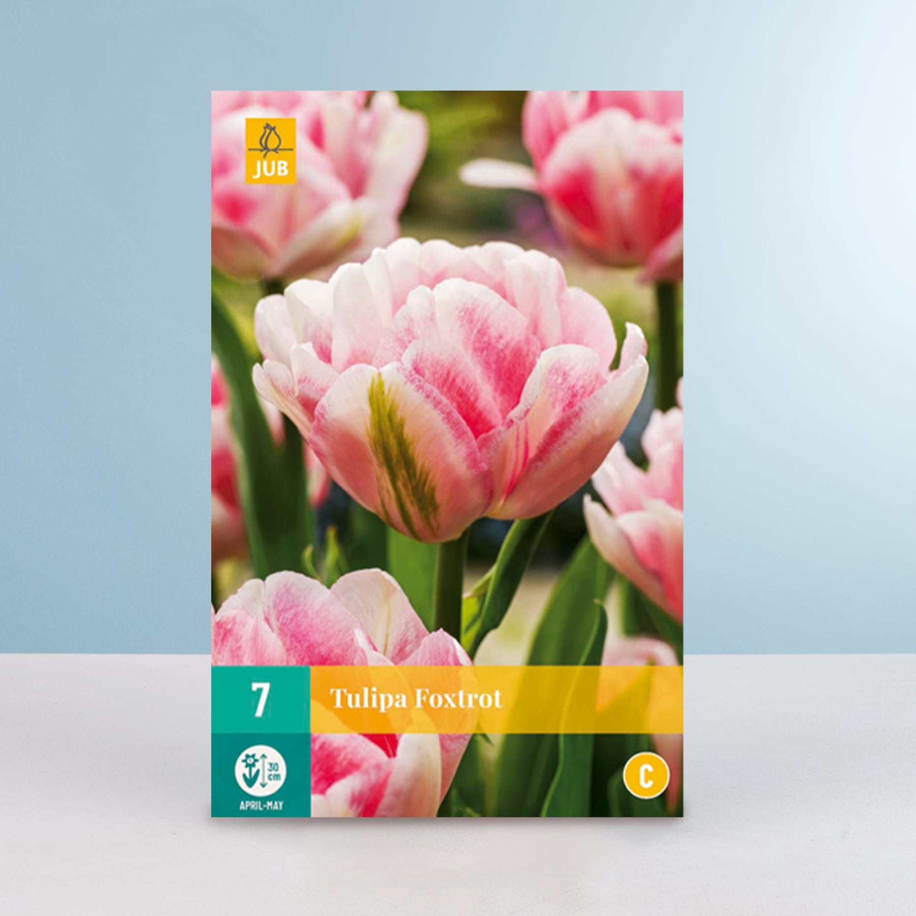Leuchtend rosa Tulpen mit gelber Mitte ragen hoch auf einen sanften blauen Hintergrund und schaffen eine optisch beeindruckende und heitere Szene.