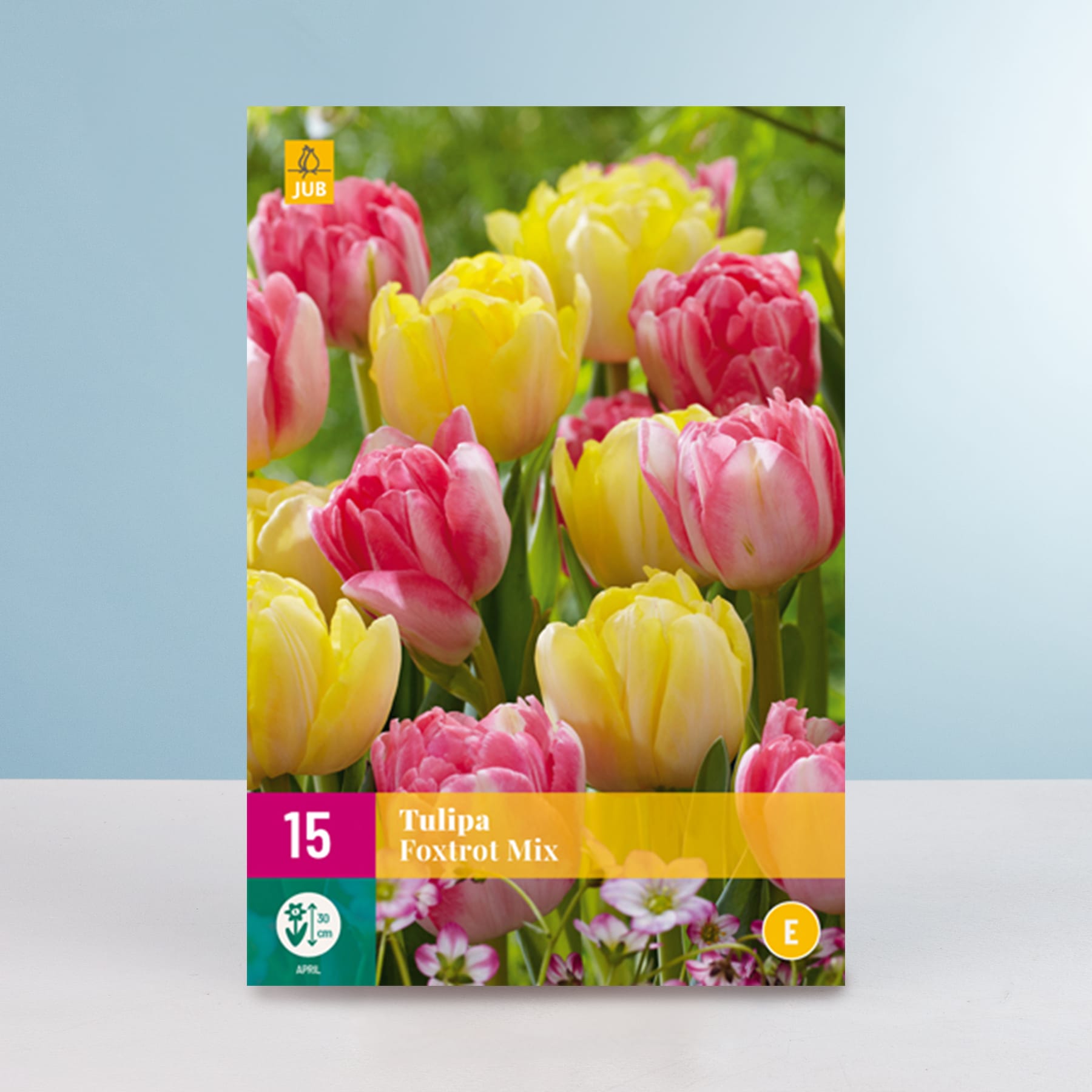 Eine leuchtende Reihe rosa und gelber Tulpen in voller Blüte vor einem verschwommenen grünen Hintergrund schafft eine optisch beeindruckende und farbenfrohe Szene.