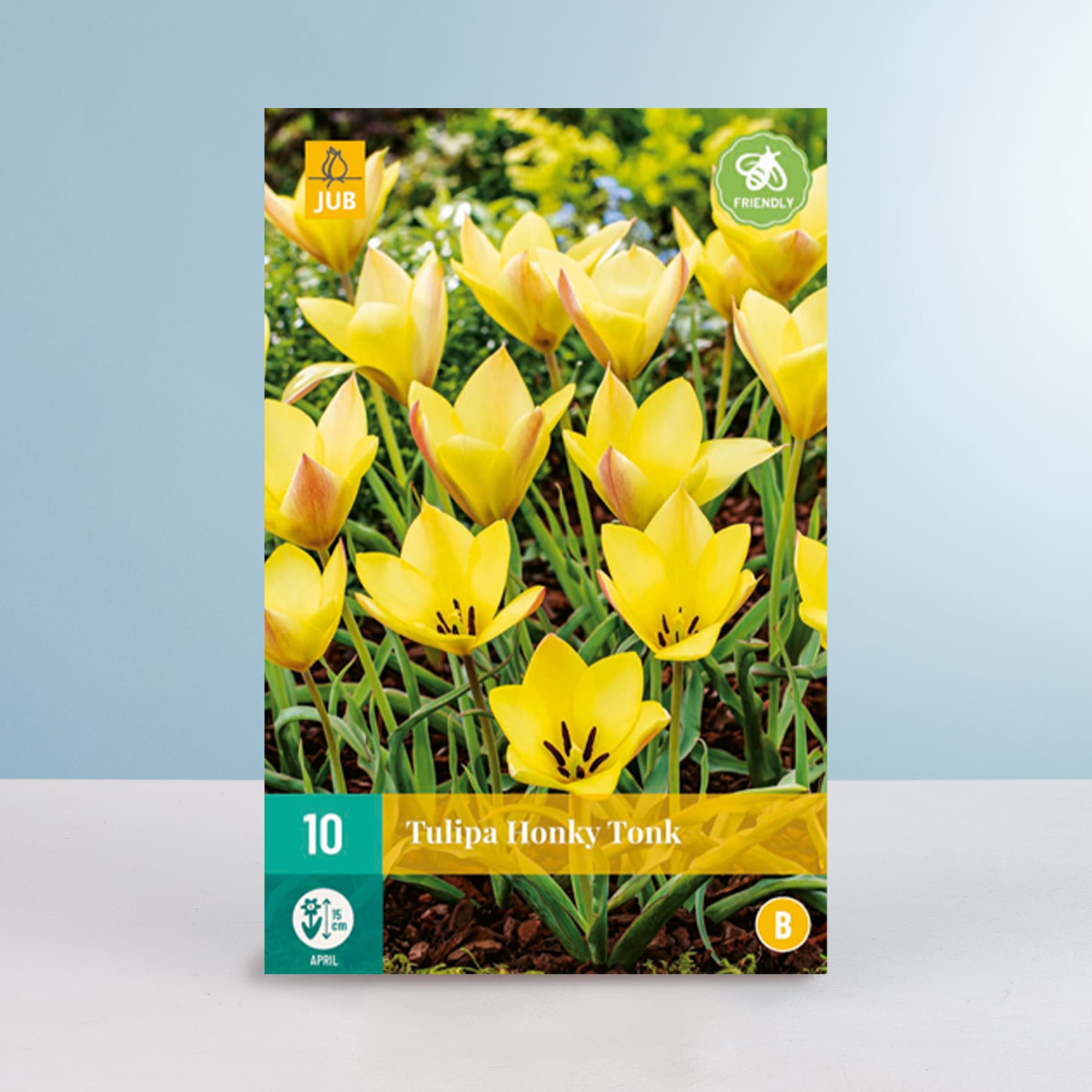 Das Bild zeigt eine Nahaufnahme mehrerer leuchtend gelber Tulpen, die in einer üppigen, grünen Gartenumgebung blühen.
