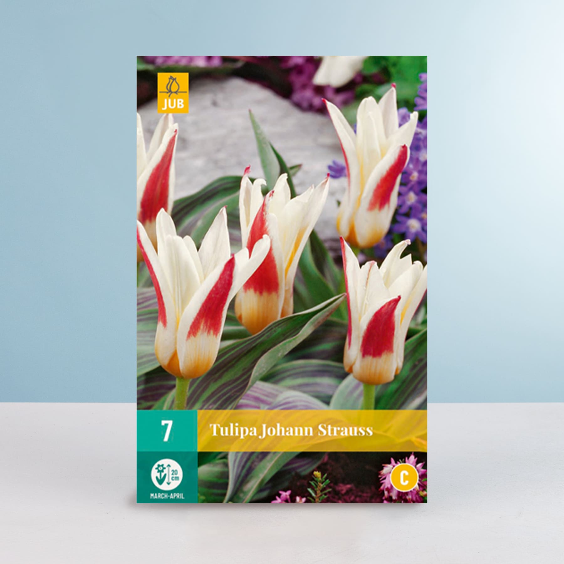 Das Bild zeigt eine Nahaufnahme mehrerer leuchtender Tulpen im Vordergrund mit einem unscharfen Hintergrund aus weiteren Blumen und Grünpflanzen.