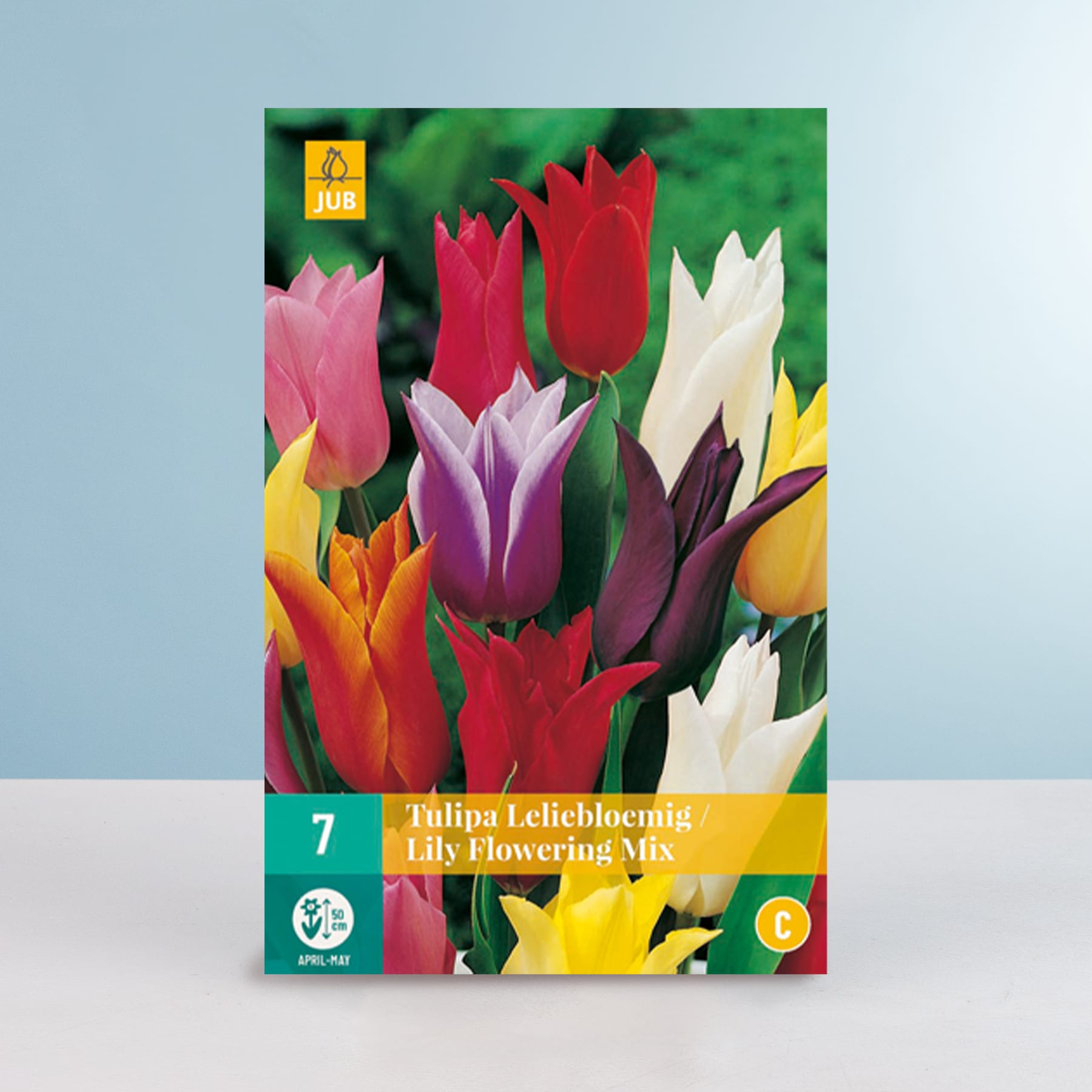 Eine leuchtende Auswahl an Tulpen in verschiedenen Rot-, Rosa-, Gelb- und Weißtönen vor einem sanften blauen Hintergrund.