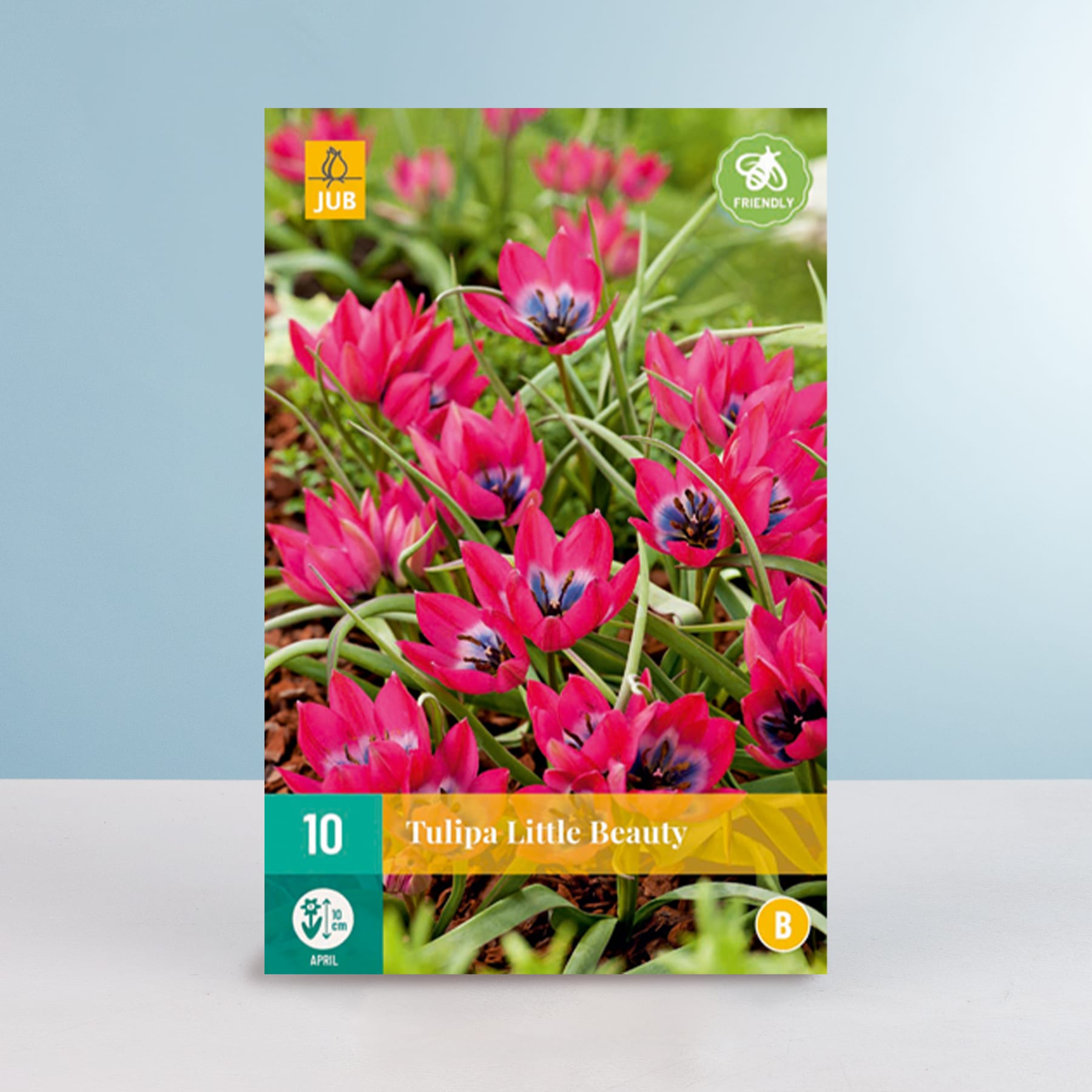 Das Bild zeigt eine Nahaufnahme leuchtend rosa Tulpenblüten mit dunkler Mitte vor einem unscharfen grün-blauen Hintergrund.