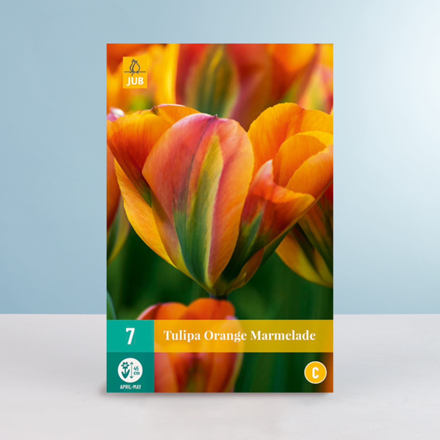 Leuchtend orangefarbene Tulpen mit gelber Mitte heben sich von einem verschwommenen grünen Hintergrund ab und erzeugen ein eindrucksvolles und farbenfrohes Bild.