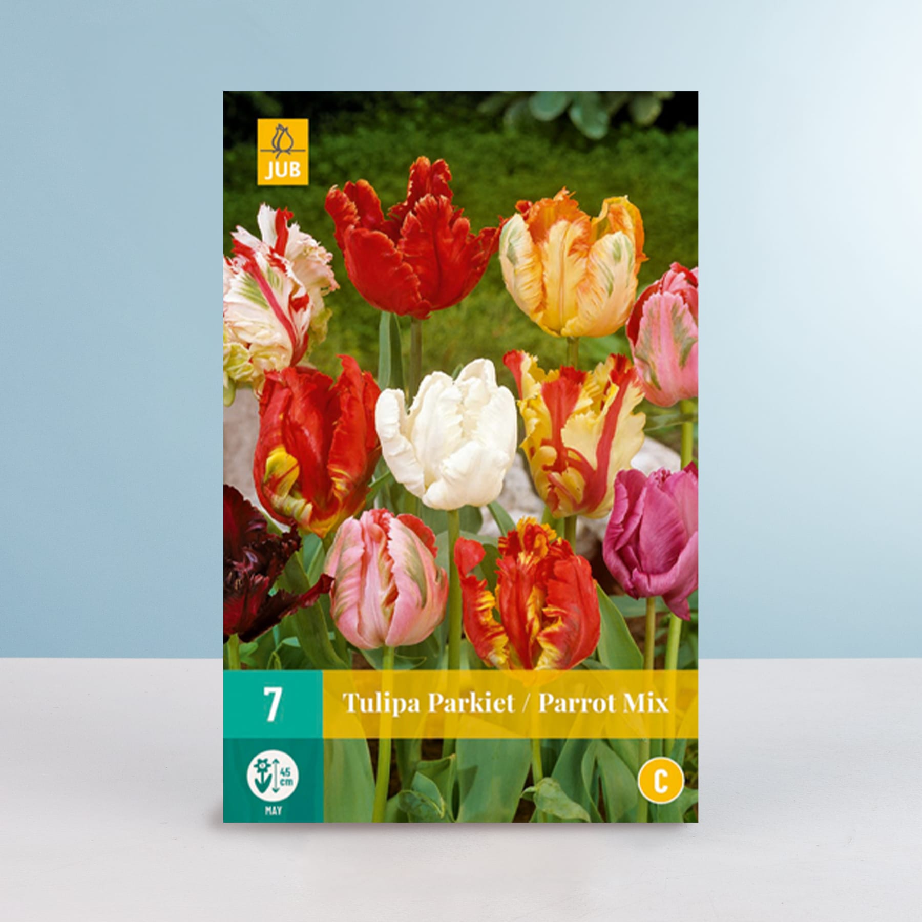 Eine leuchtende Tulpenpracht in verschiedenen Rot-, Rosa- und Gelbtönen vor einem verschwommenen grünen Hintergrund.