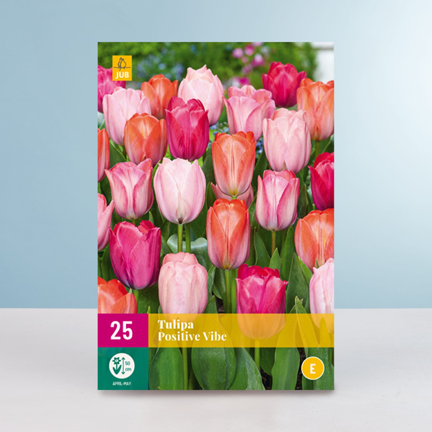Eine lebendige Darstellung von Tulpen in verschiedenen Rosa-, Orange- und Rottönen vor einem verschwommenen grün-blauen Hintergrund.