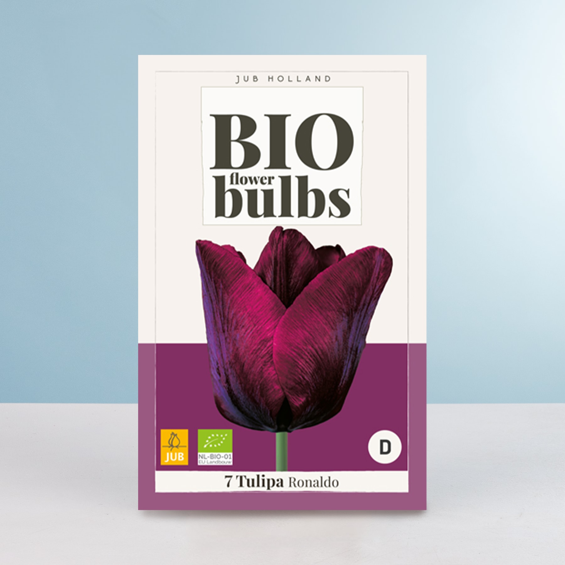 Das Bild zeigt eine Packung Bio-Blumenzwiebeln mit einer leuchtend violetten Tulpe auf hellblauem Hintergrund.