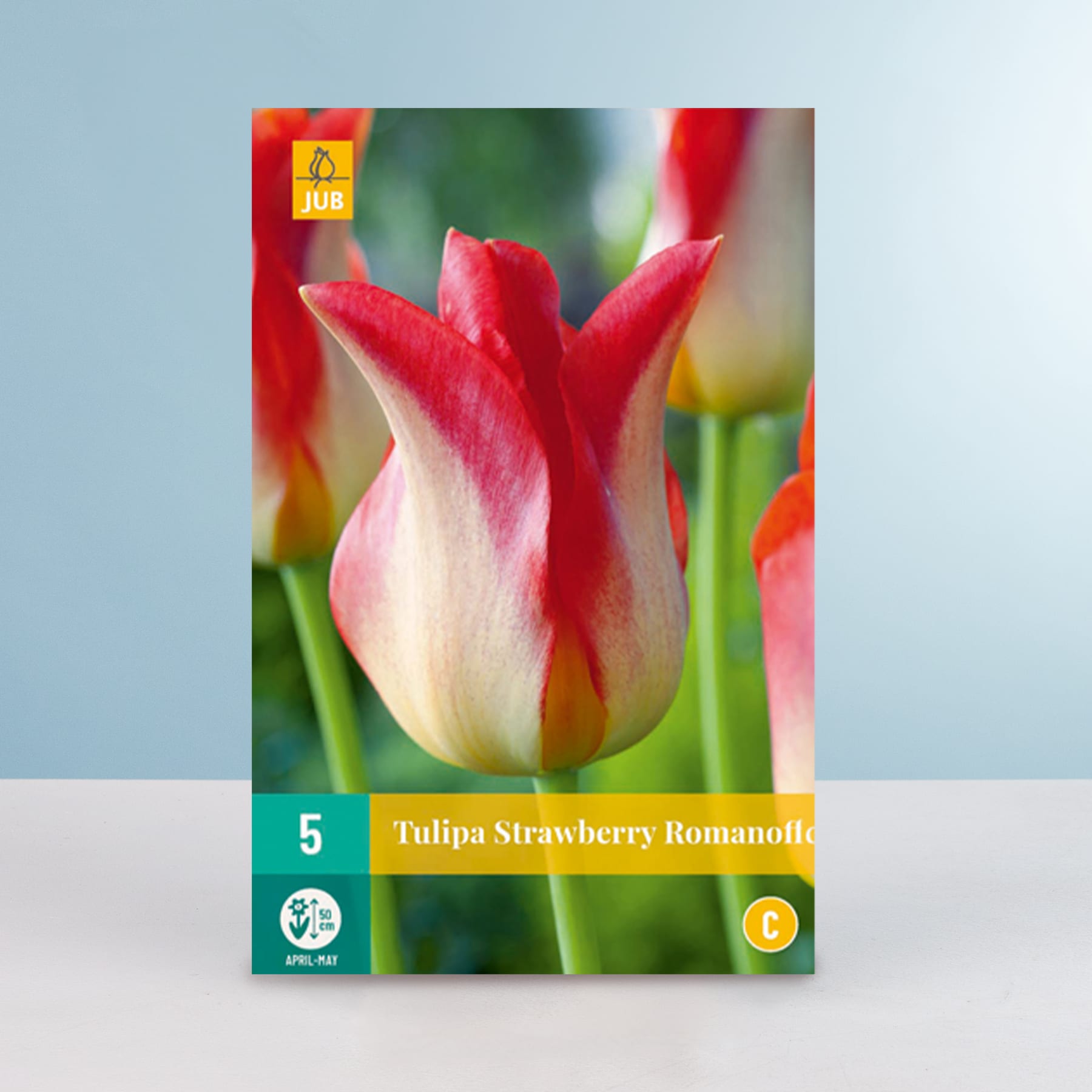 Eine leuchtend rot-weiße Tulpe mit einem Etikett, das sie als „Tulipa Strawberry Romanoff“ ausweist, sticht deutlich vor einem verschwommenen grün-blauen Hintergrund hervor.
