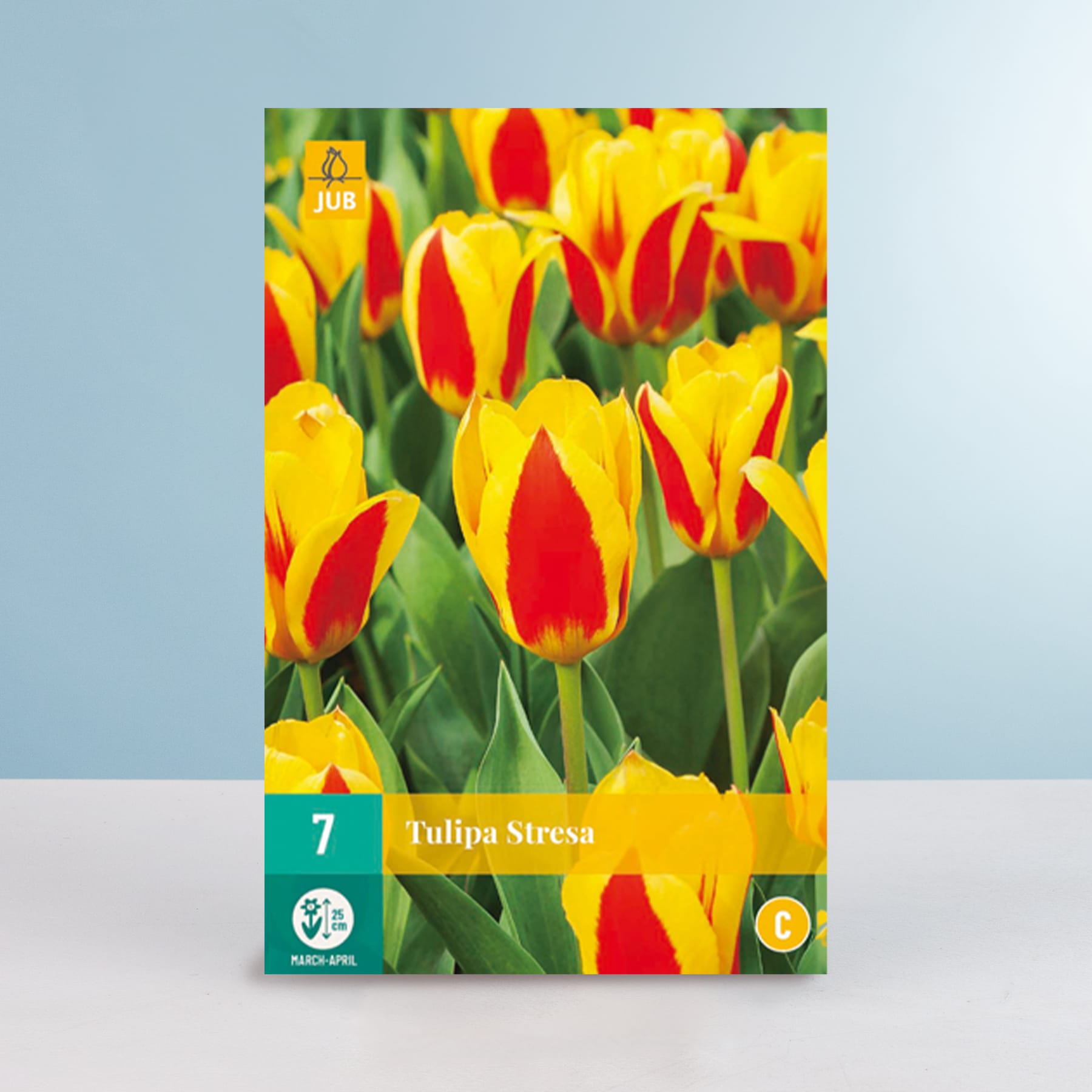 Das Bild zeigt eine leuchtende Pracht gelber und roter Tulpen vor einem sanften blauen Hintergrund, wodurch eine optisch beeindruckende und farbenfrohe Szene entsteht.