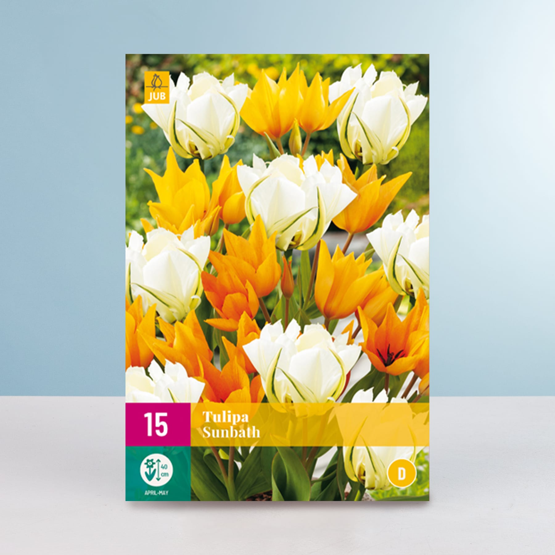 Eine leuchtende Pracht weißer und gelber Tulpen vor einem verschwommenen grünen Hintergrund, mit einem Etikett, das die Tulpensorte als „Sunbali“ angibt.