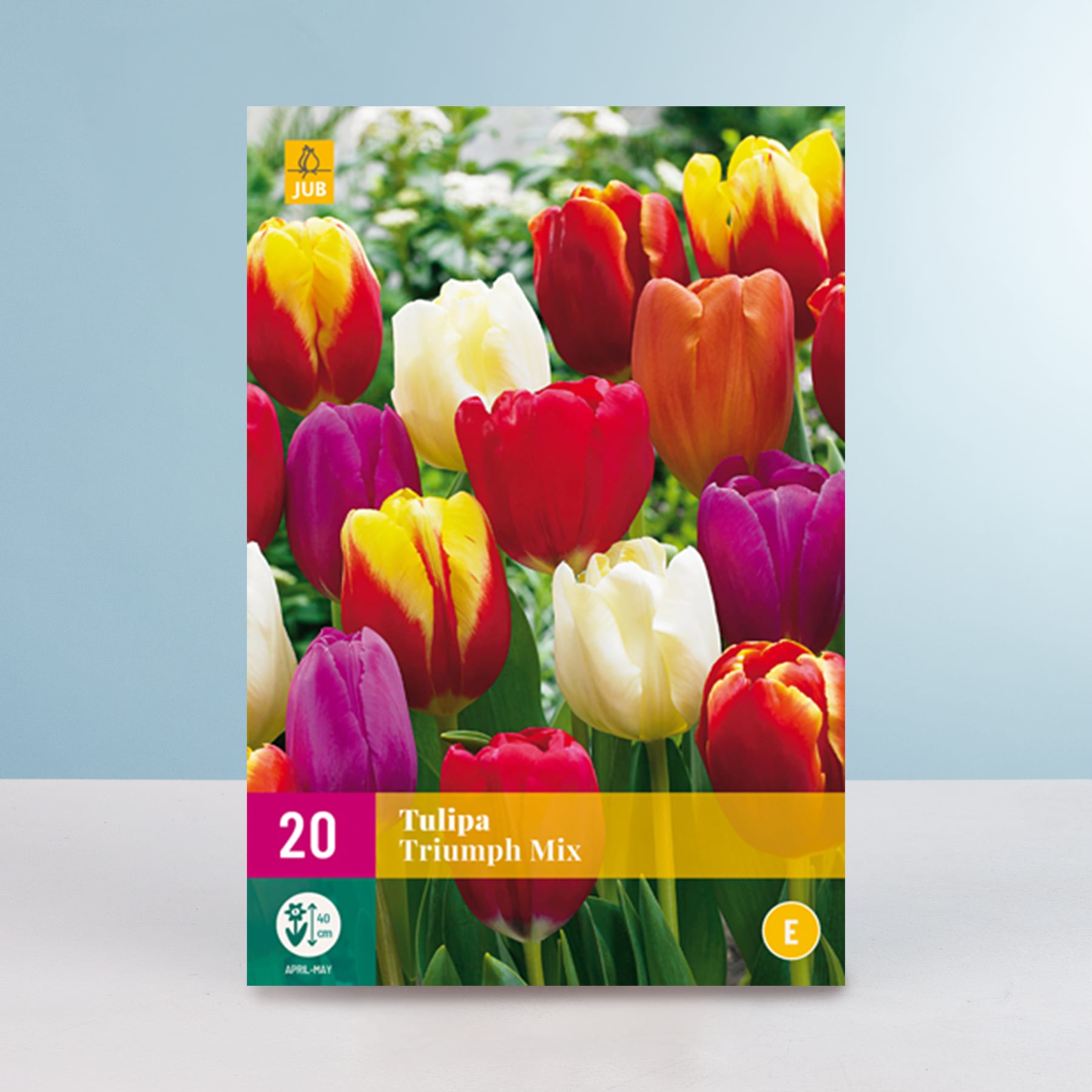 Eine leuchtende Auswahl an Tulpen in verschiedenen Rot-, Gelb- und Lilatönen vor einem sanften blauen Hintergrund.